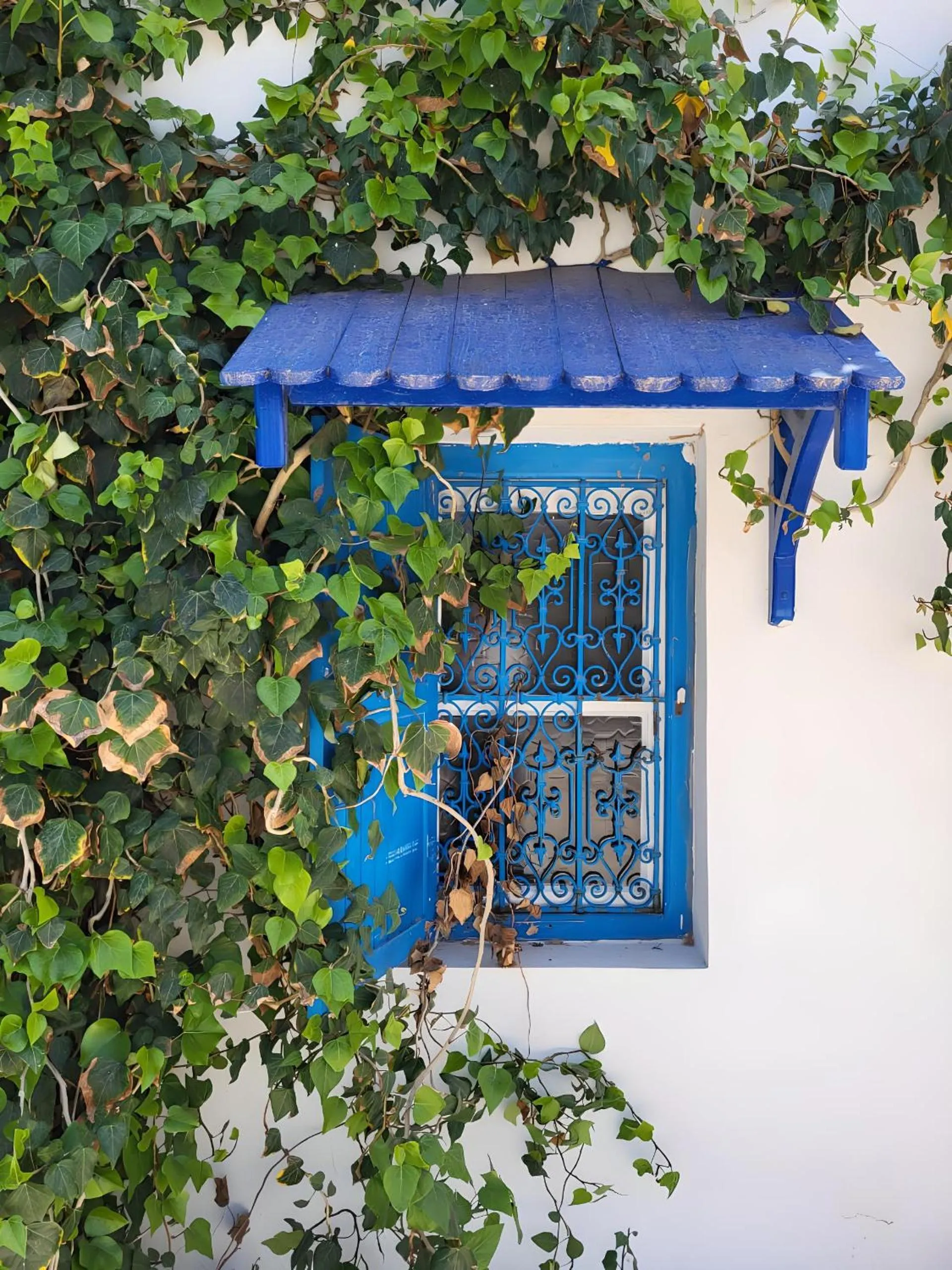 View (from property/room) in Tamalou Djerba