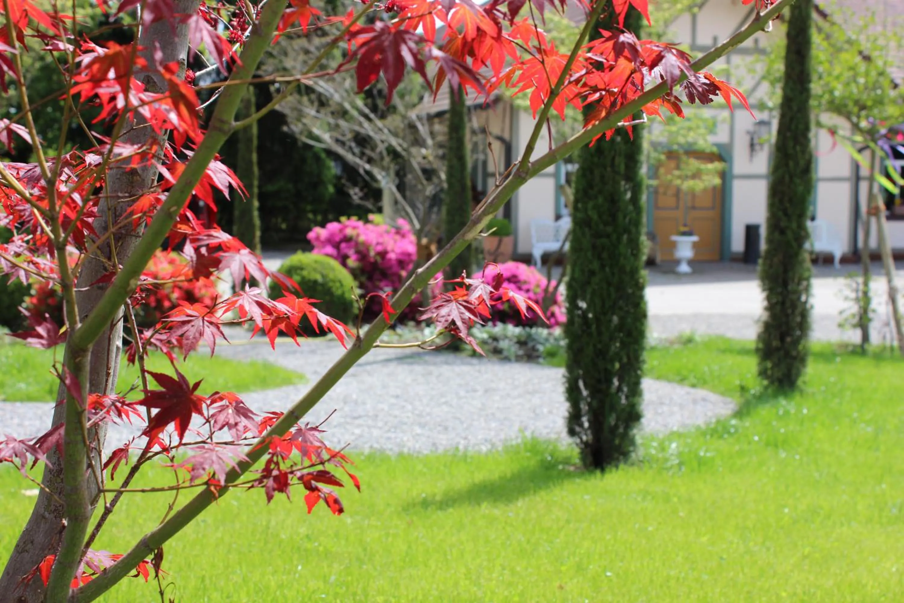 Patio in Reck's Hotel-Restaurant