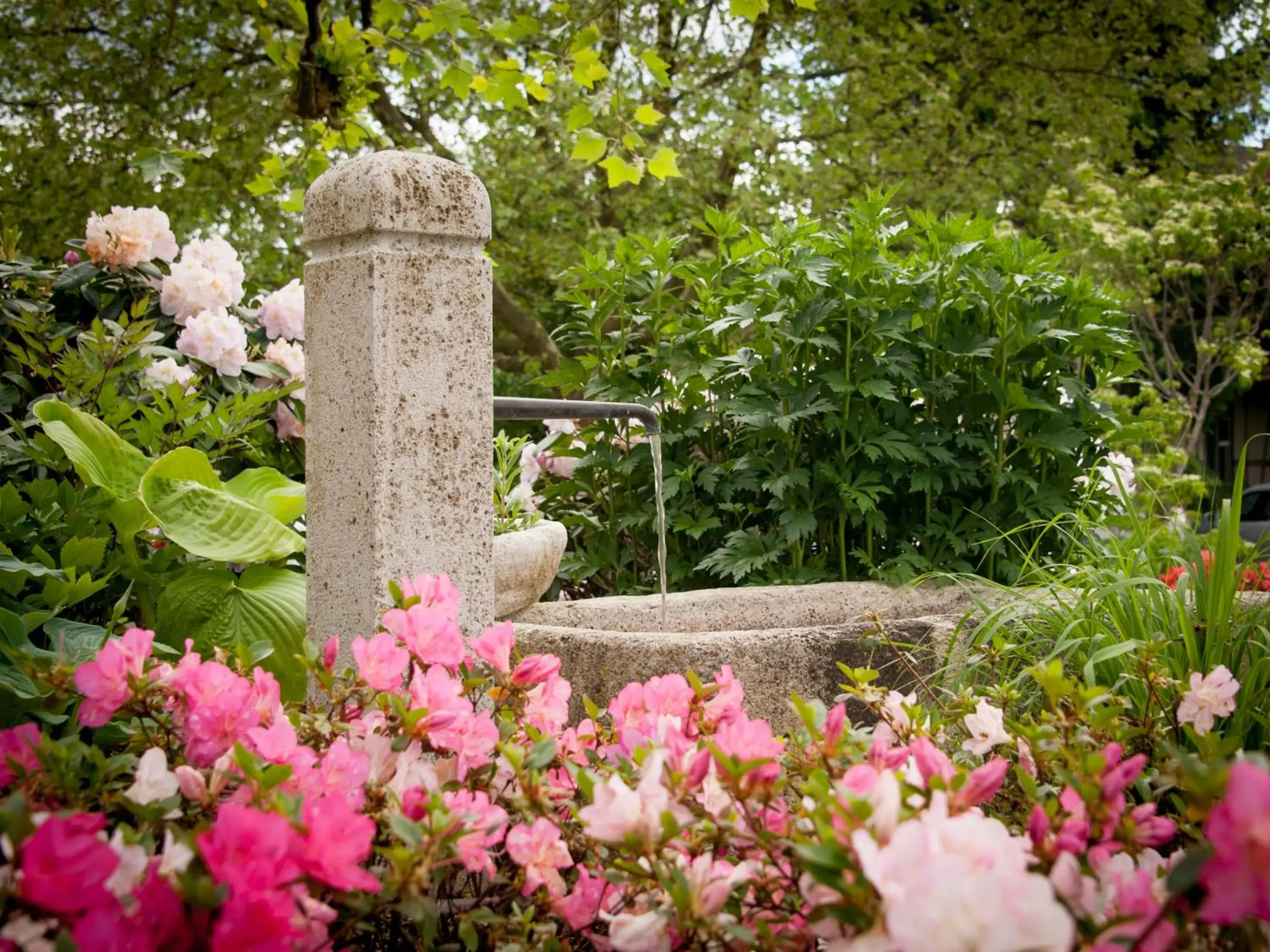 Garden in Reck's Hotel-Restaurant Garden in Reck's Hotel-Restaurant