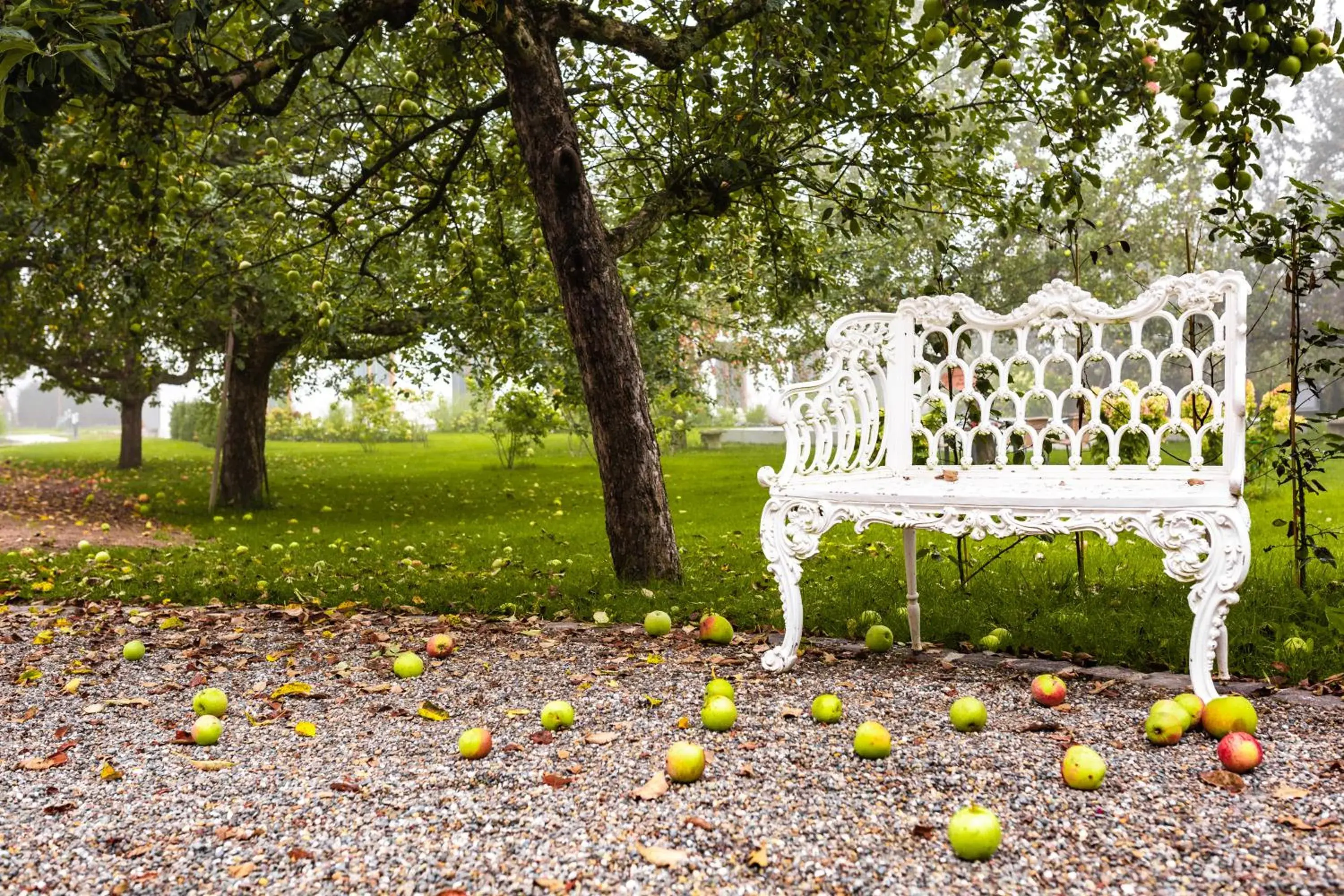 Garden in Reck's Hotel-Restaurant Garden in Reck's Hotel-Restaurant