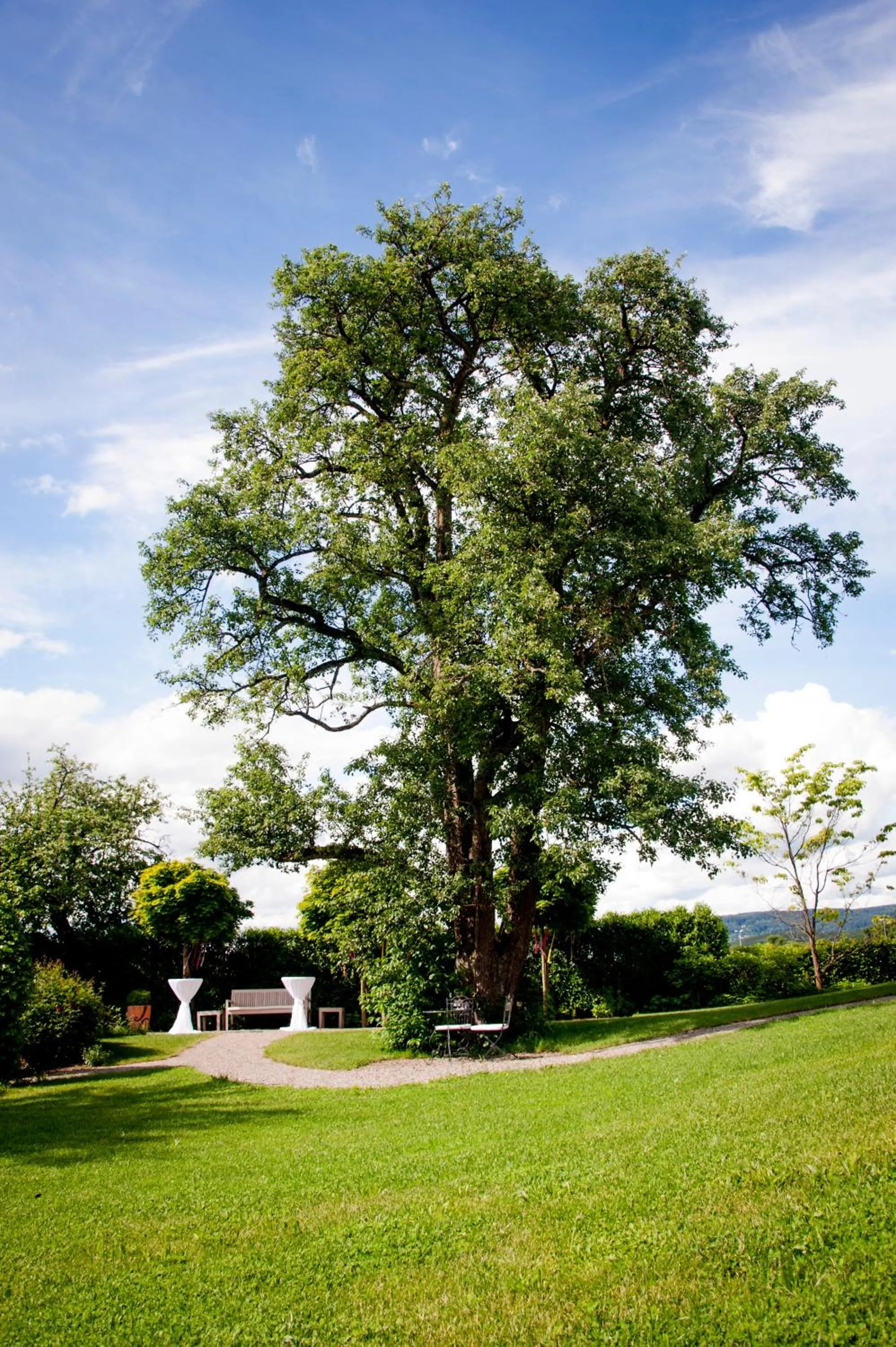 Garden in Reck's Hotel-Restaurant