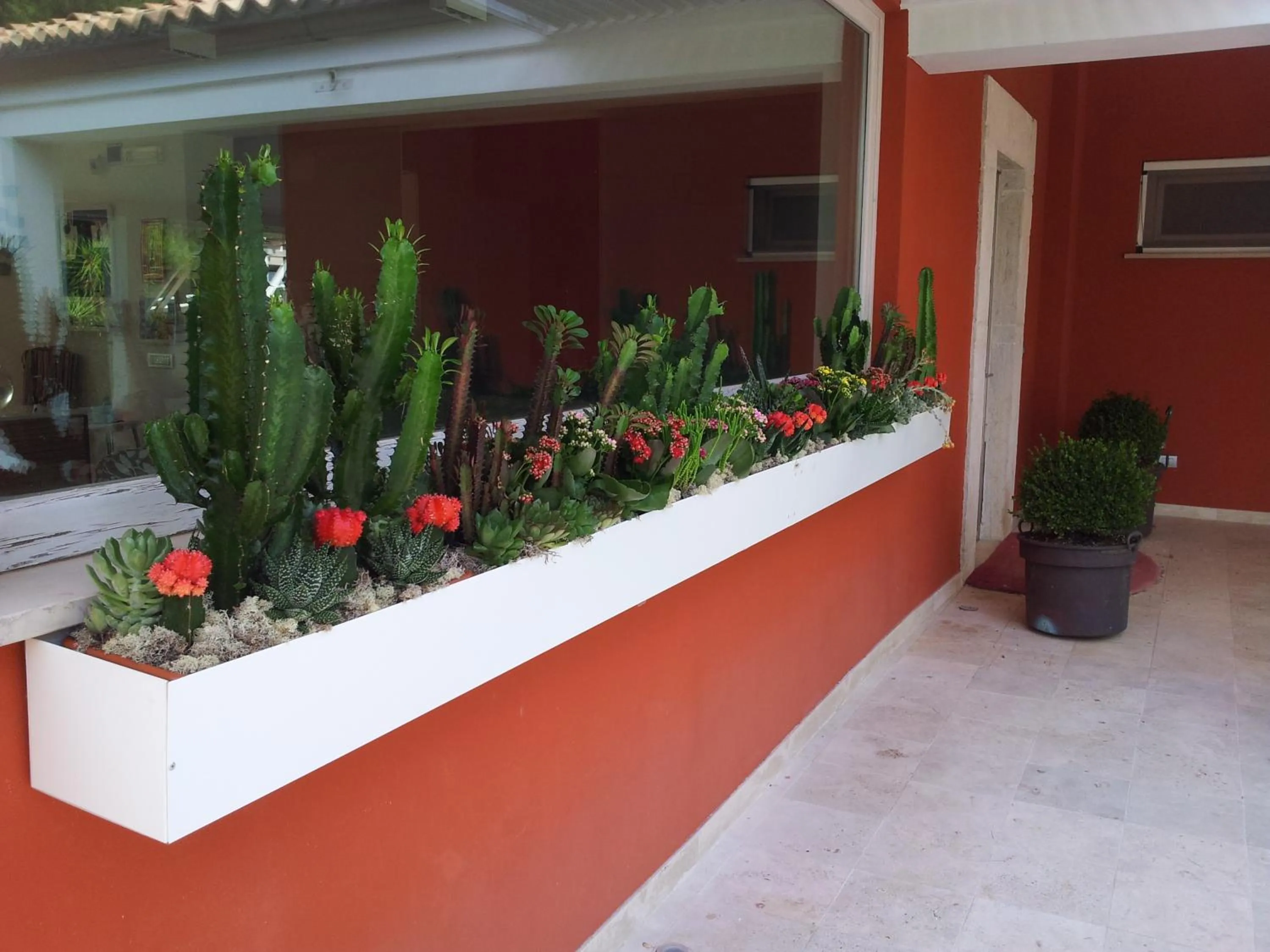 Garden in Alfieri Cottage