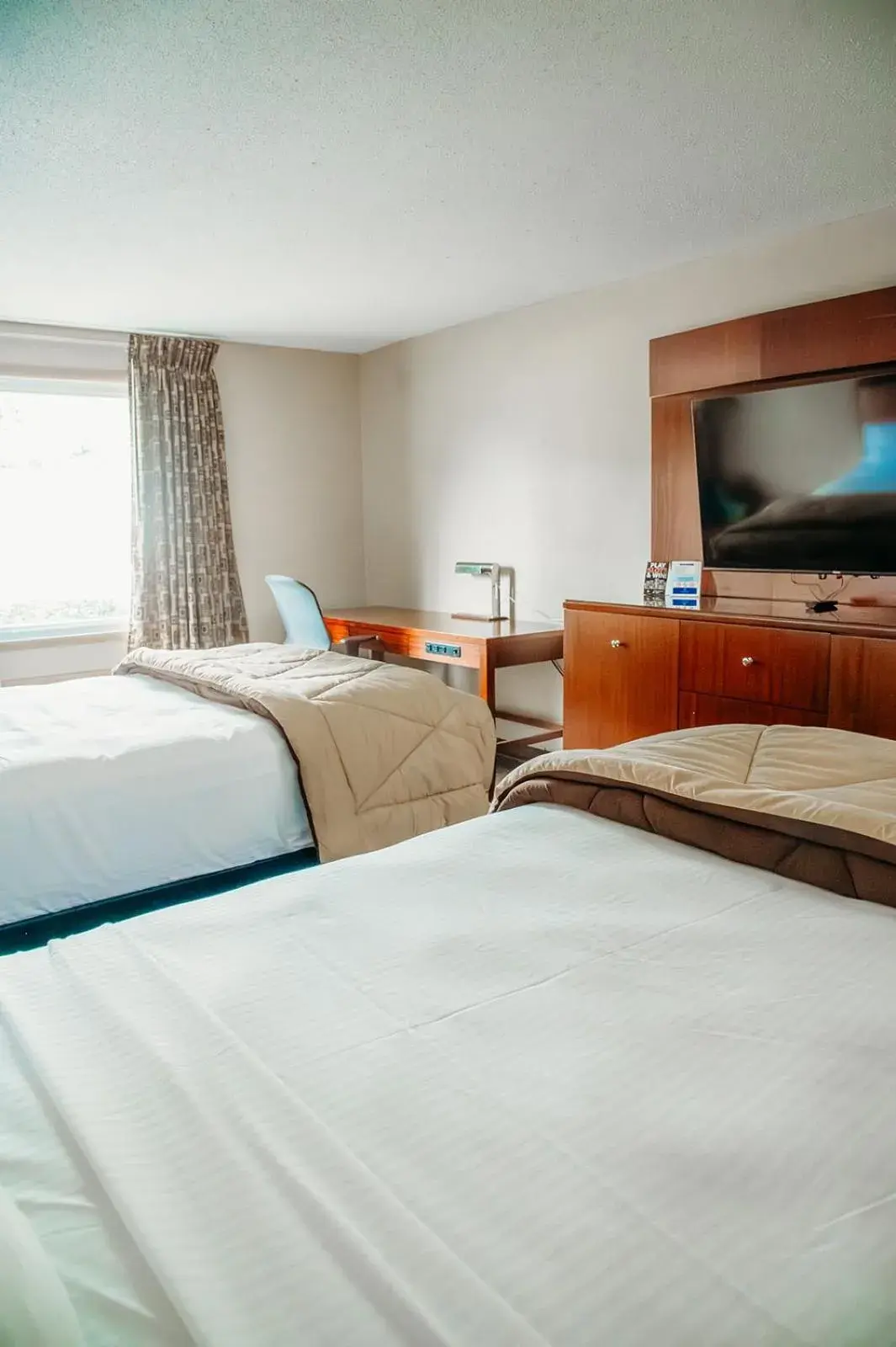 Bed in Country Garden & Suites Bed in Country Garden & Suites