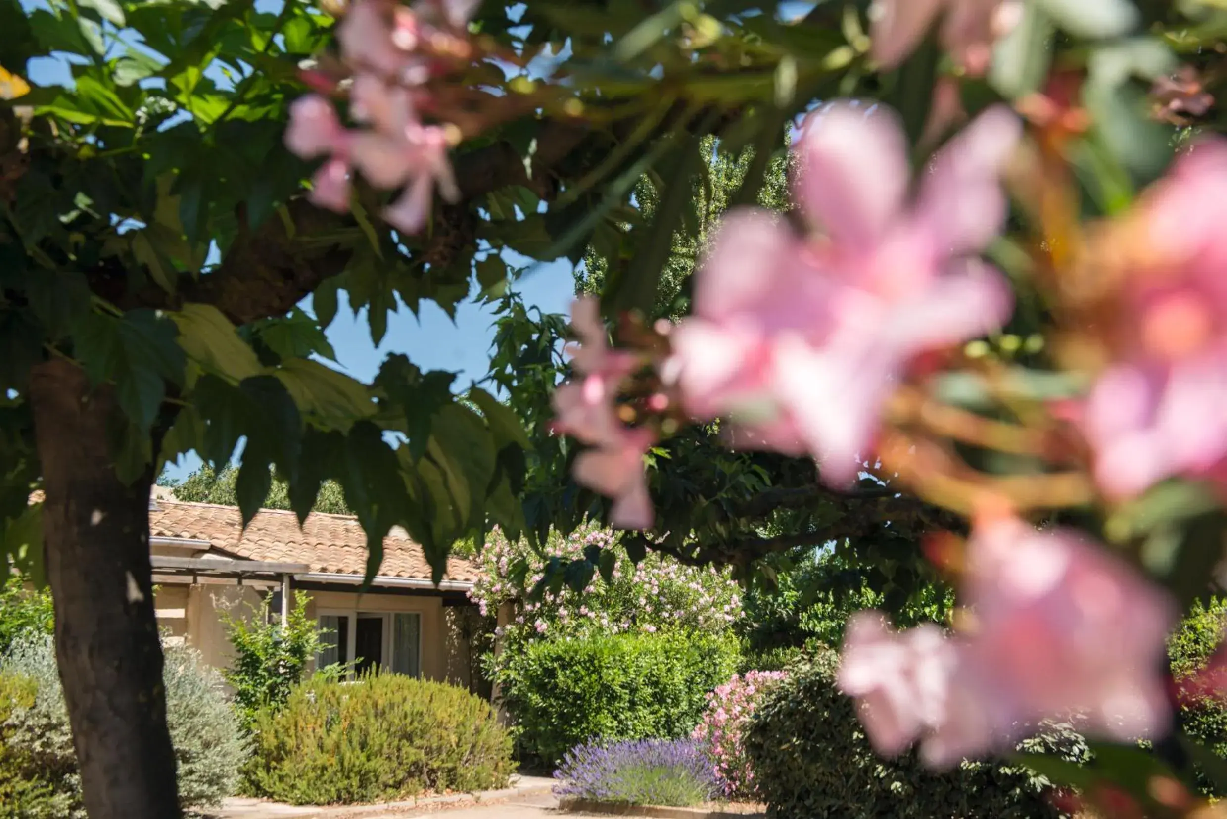 Property building in SOWELL HÔTELS Les Jardins du Cap Property building in SOWELL HÔTELS Les Jardins du Cap