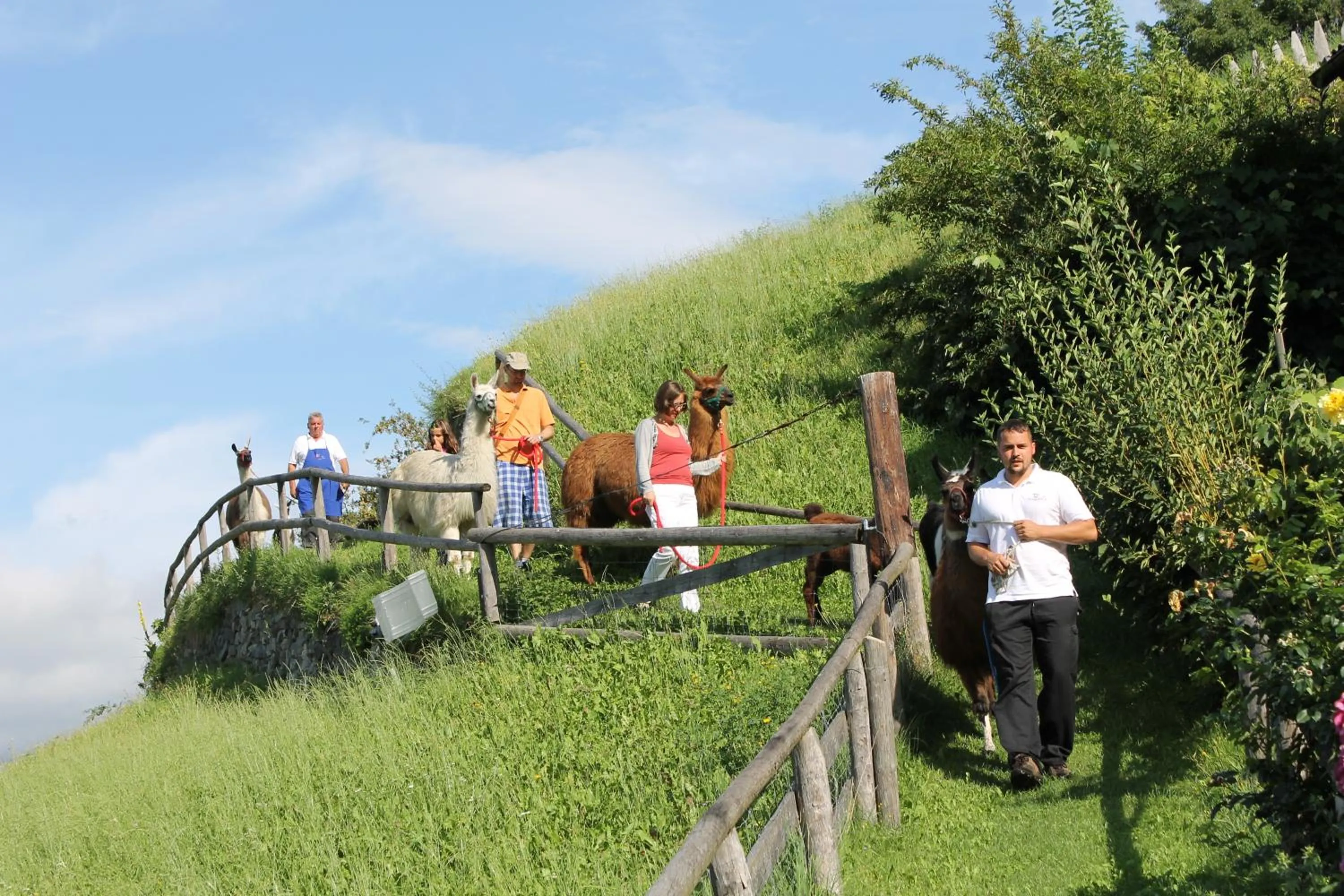 People in Hotel Torgglerhof