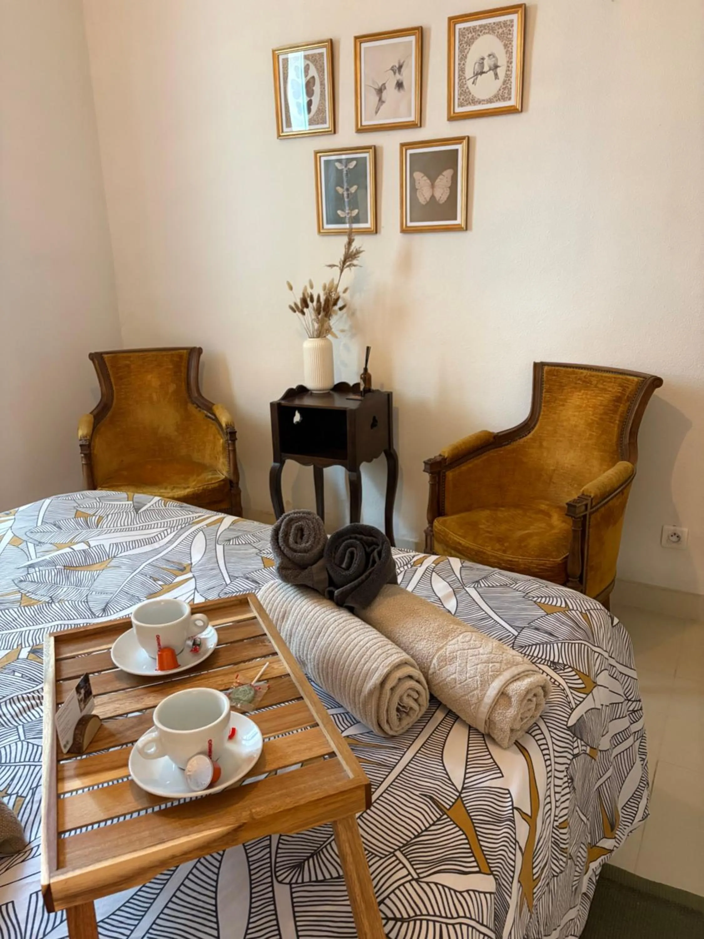 Photo of the whole room in Mas de L'isle