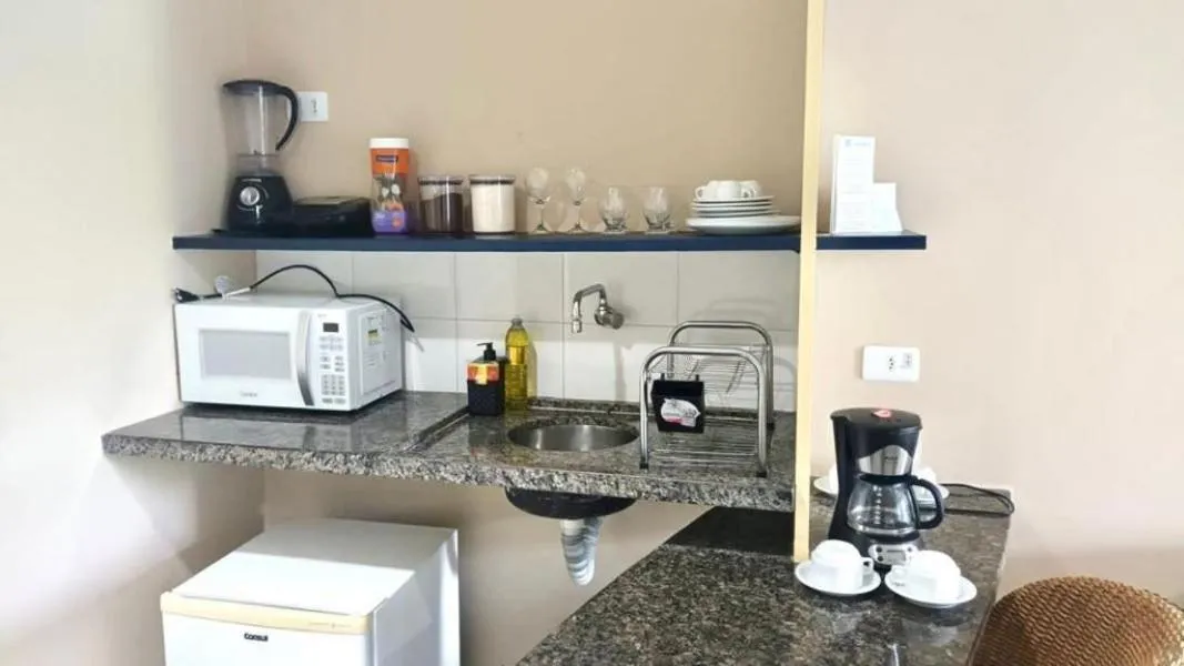 Kitchen or kitchenette in Ambassador Flat