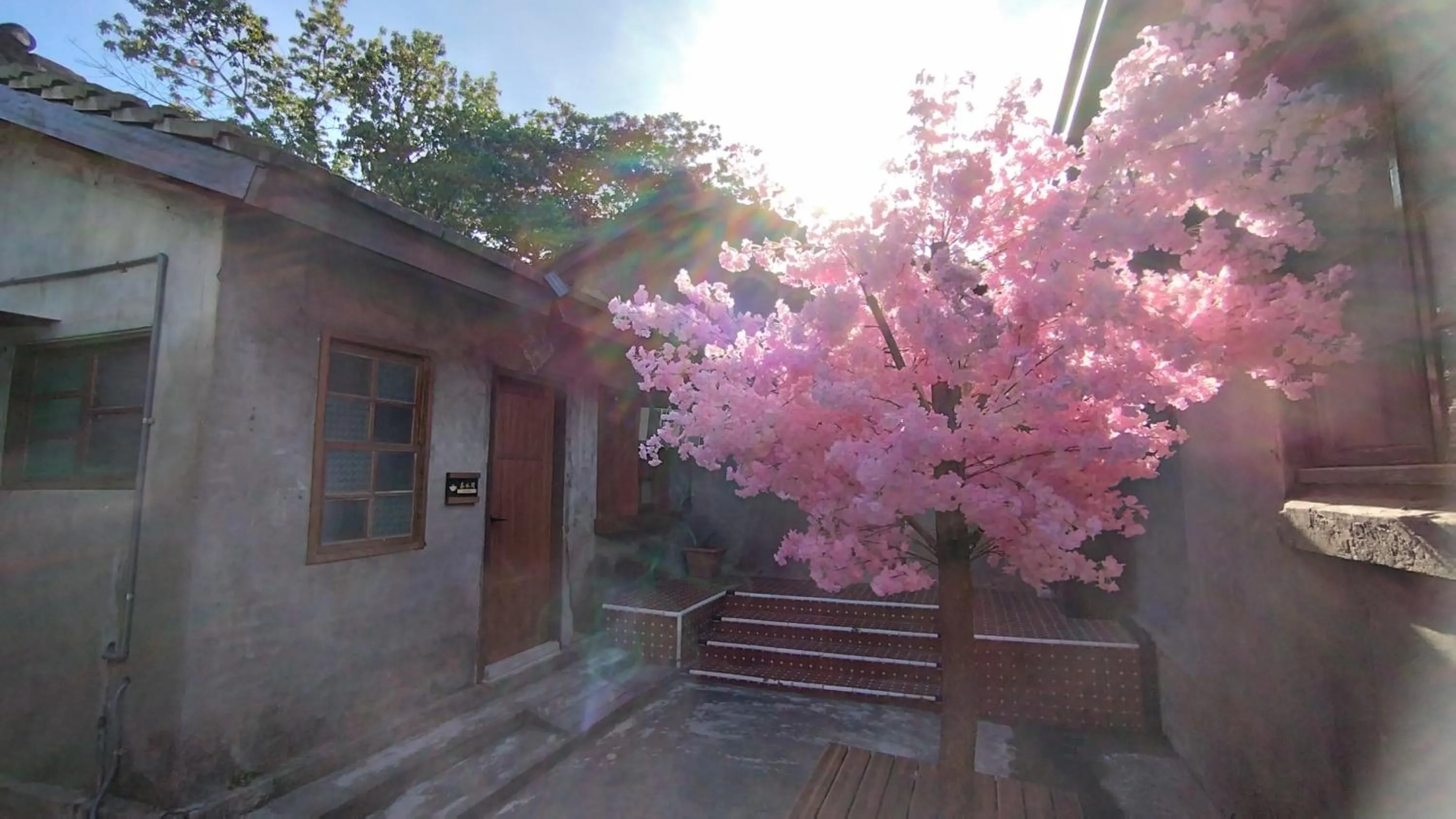 Garden view in Old Place Hostel