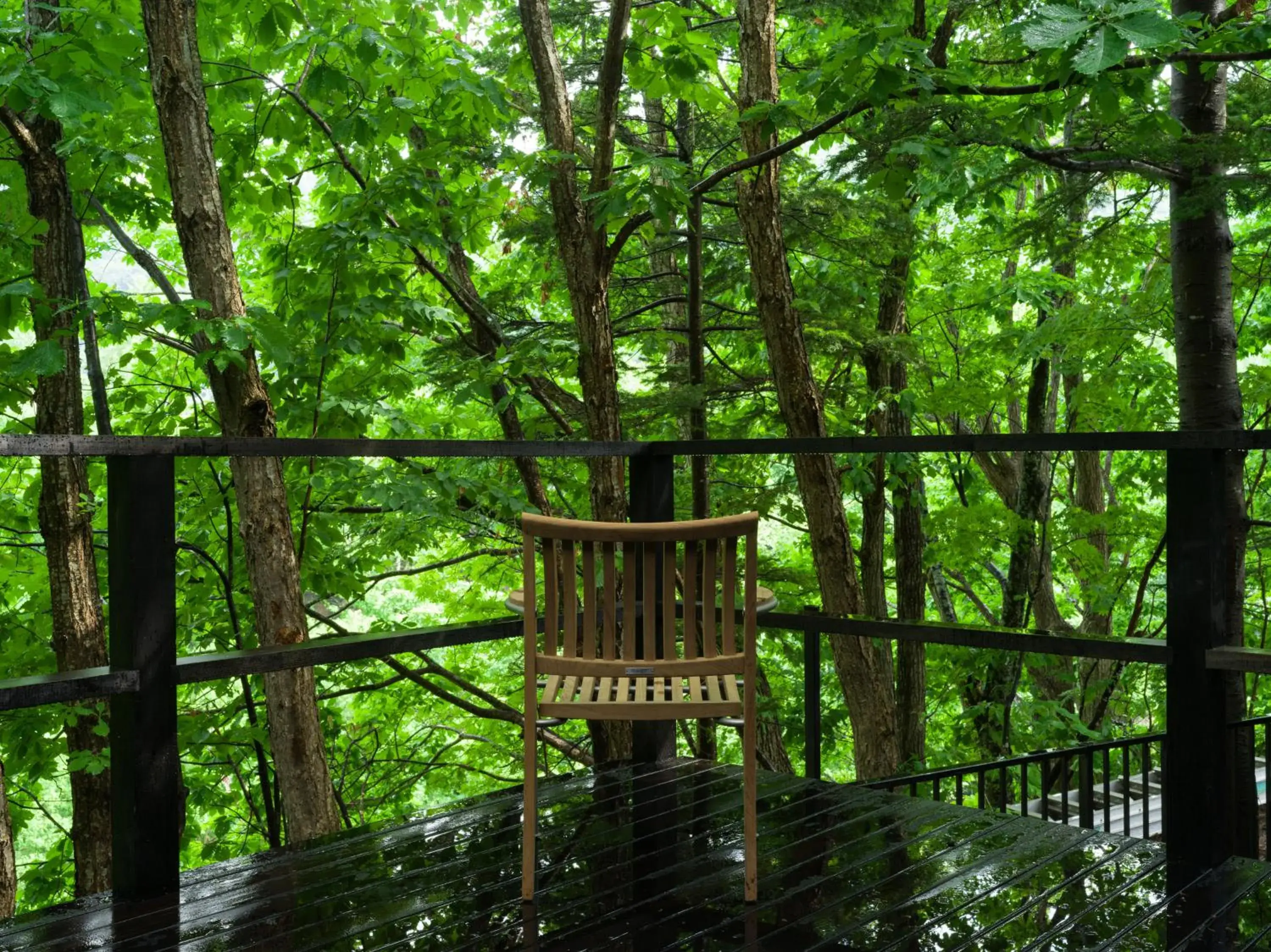 Natural landscape in Suigan Natural landscape in Suigan