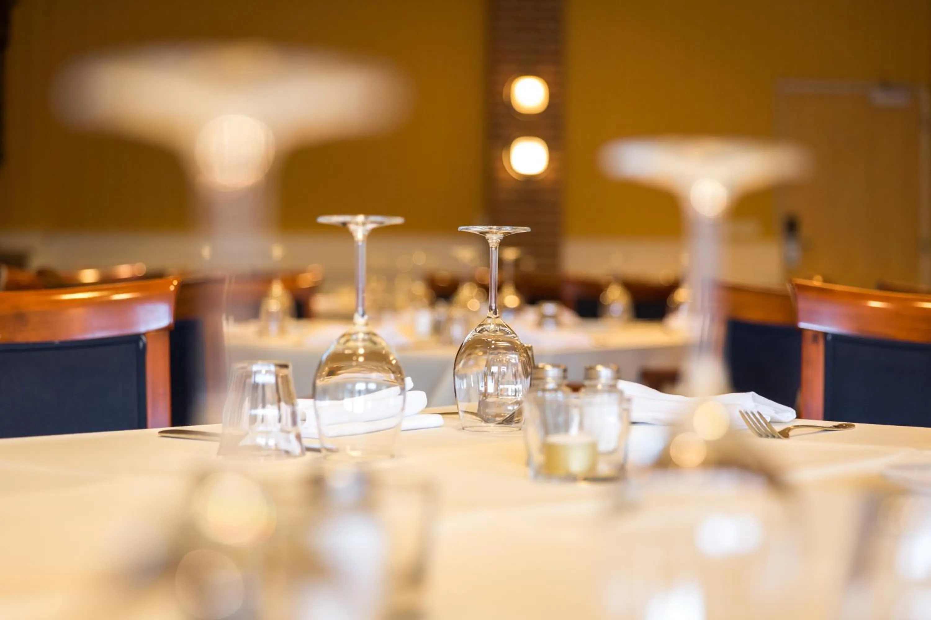 Banquet/Function facilities in Brinkhotel