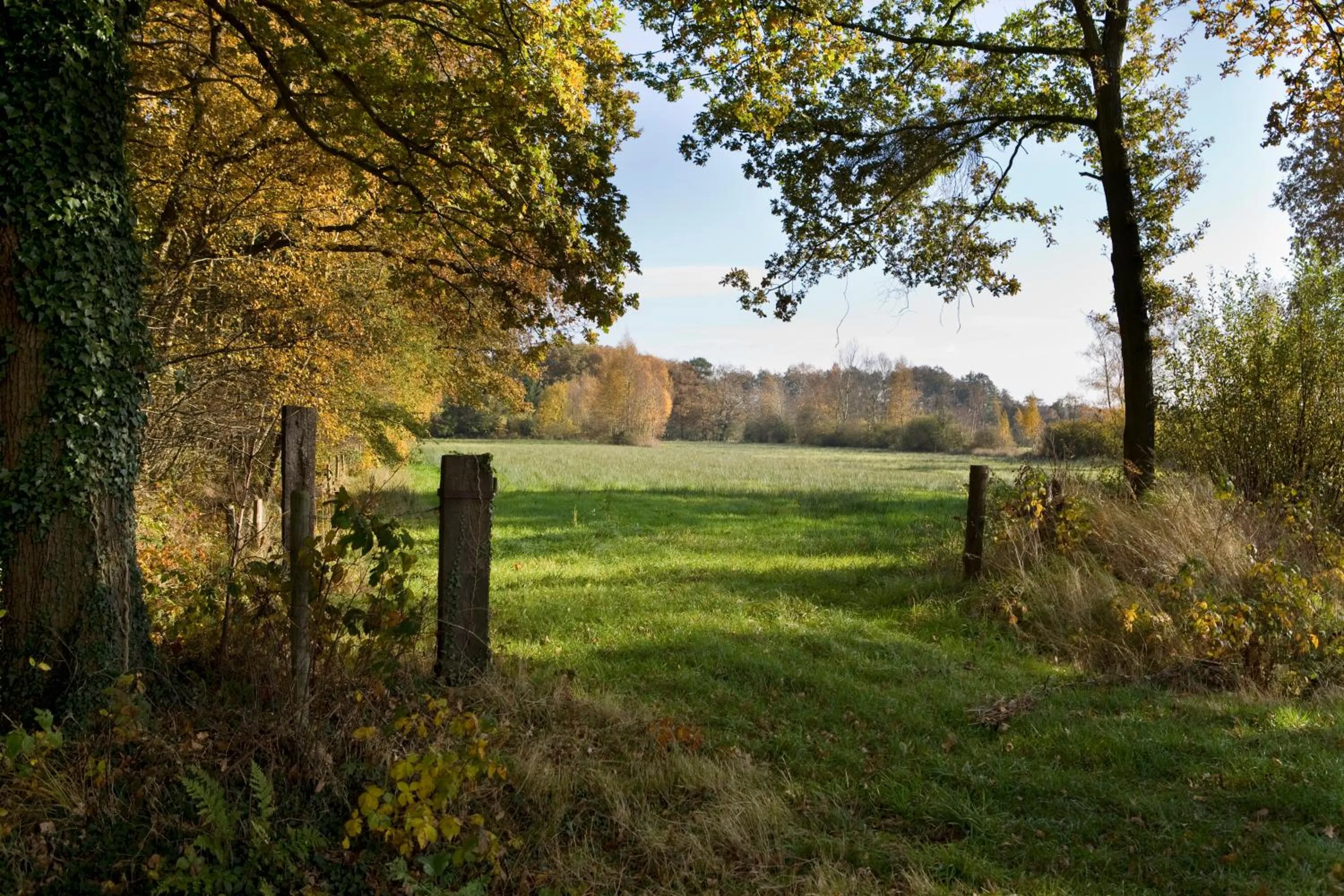 Natural landscape in Brinkhotel