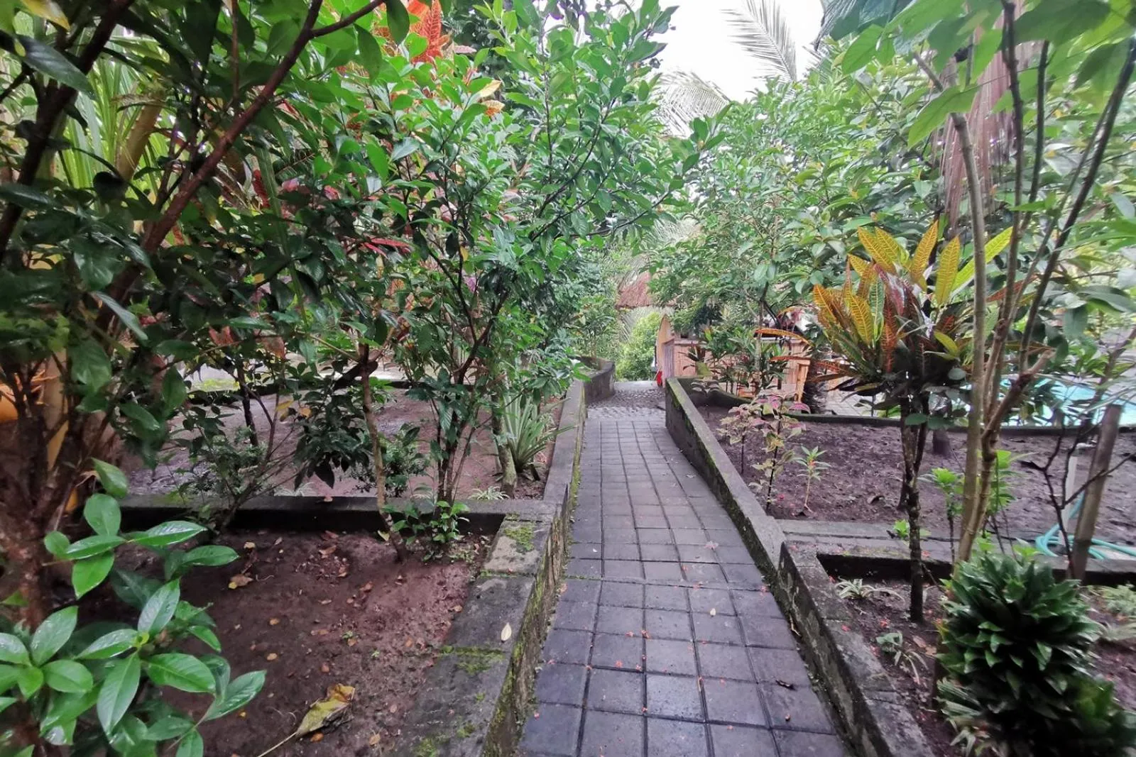 Street view in TwoSpaces Living at Balian Green Lagoon