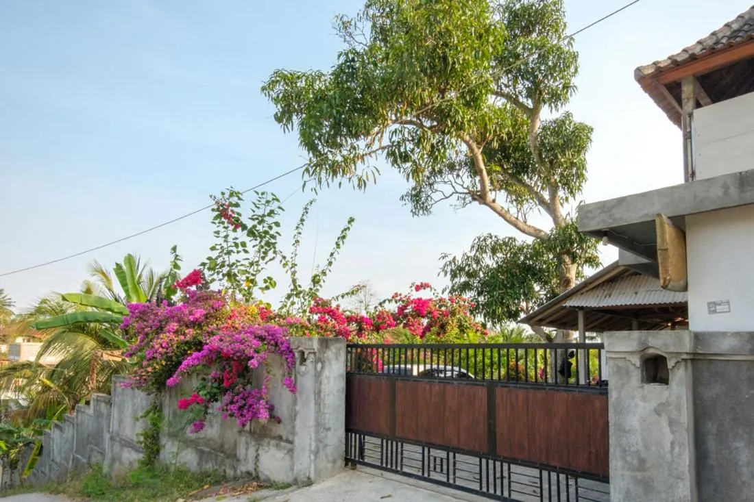 Street view in TwoSpaces Living at Balian Green Lagoon