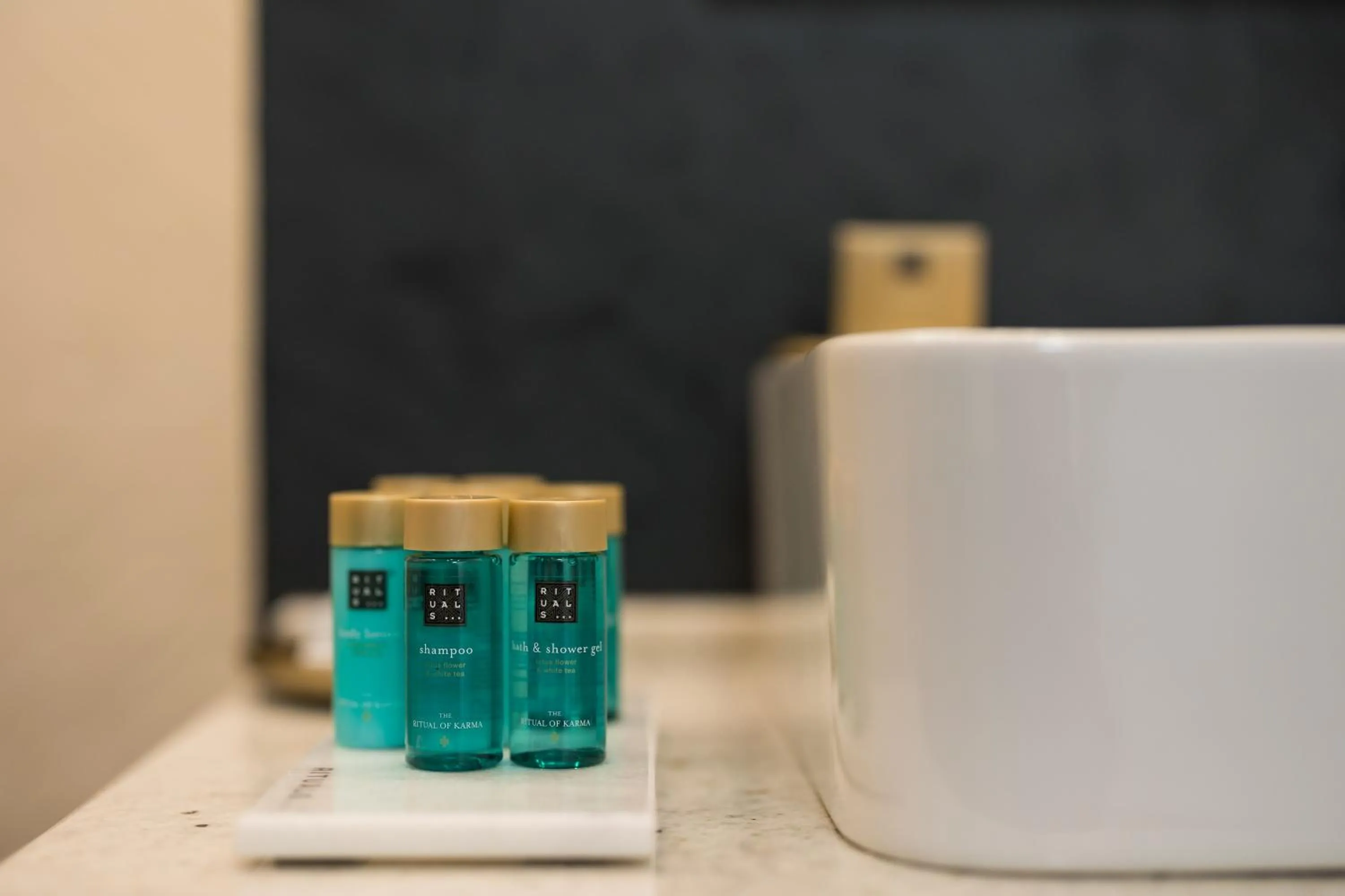 Bathroom in Rosetti One