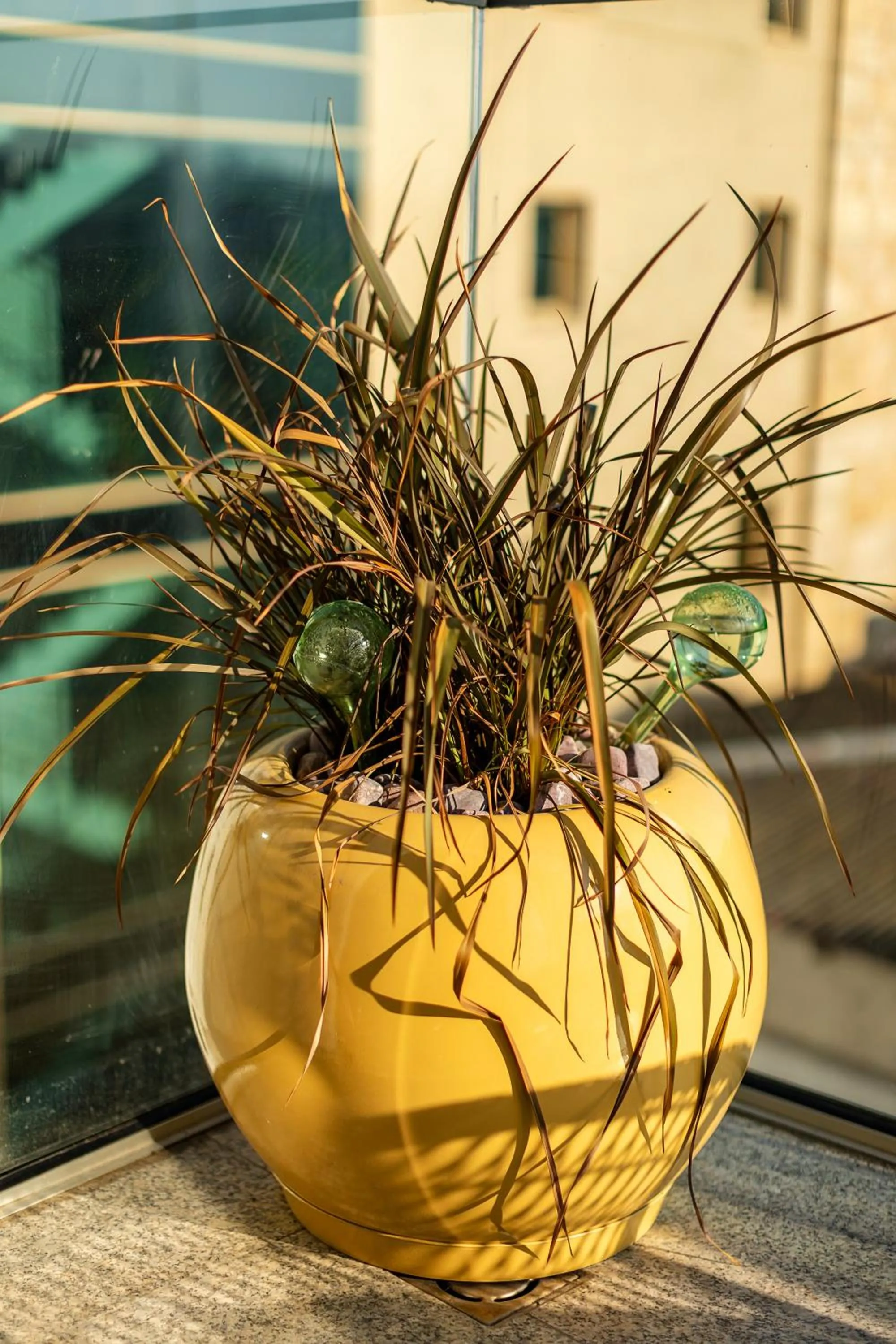 Garden view in Rosetti One