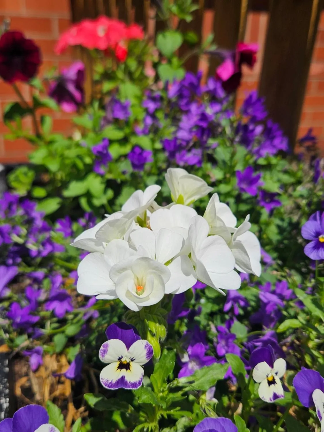 Property building in Belmont Hotel Leicester