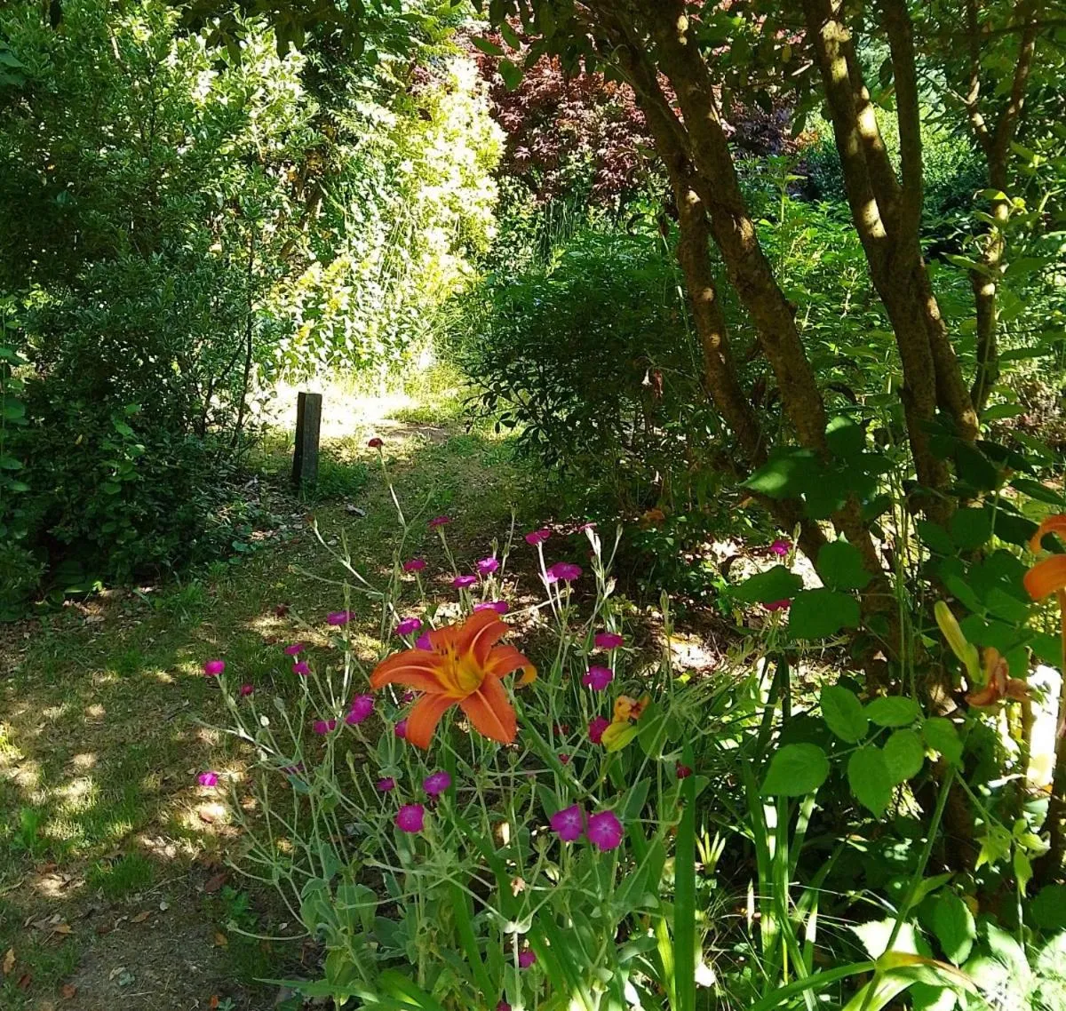 Garden in La Chevallerie - Exclusive tranquil oasis