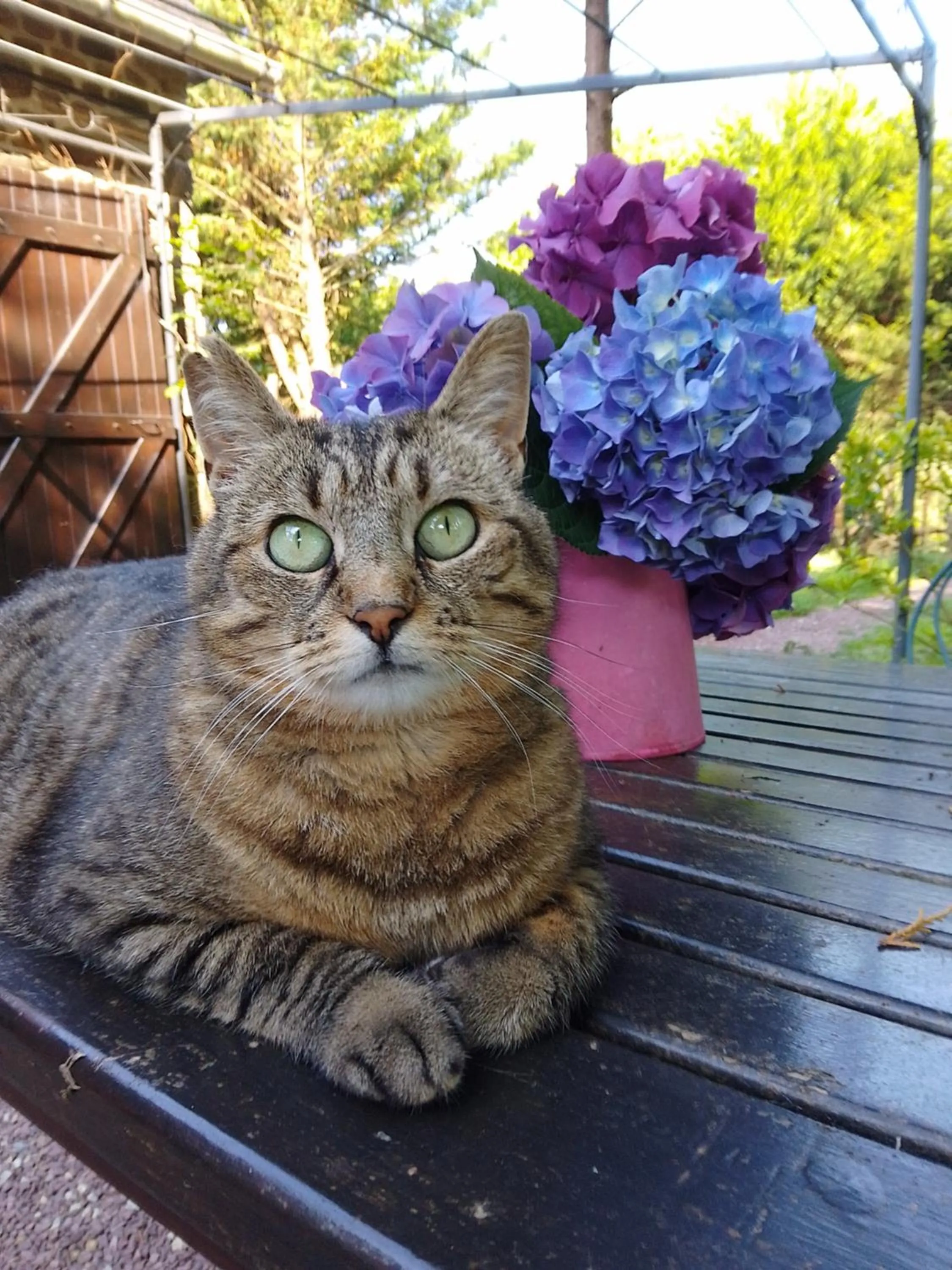 Property building in La Chevallerie - Exclusive tranquil oasis