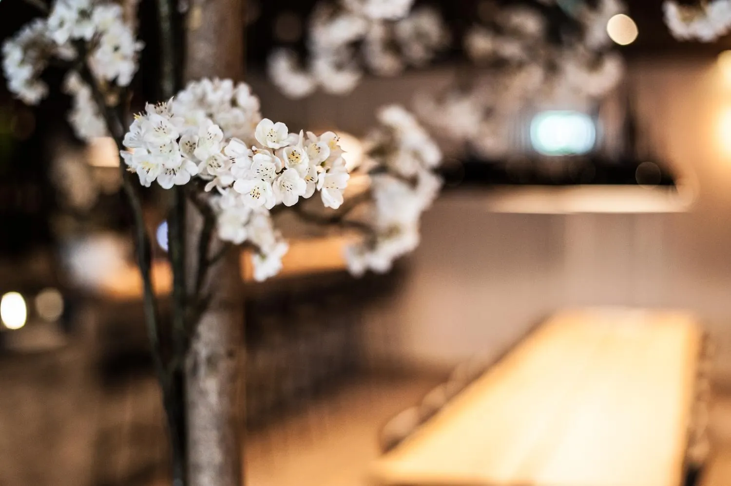 Restaurant/places to eat in Hotel Hoogeveen