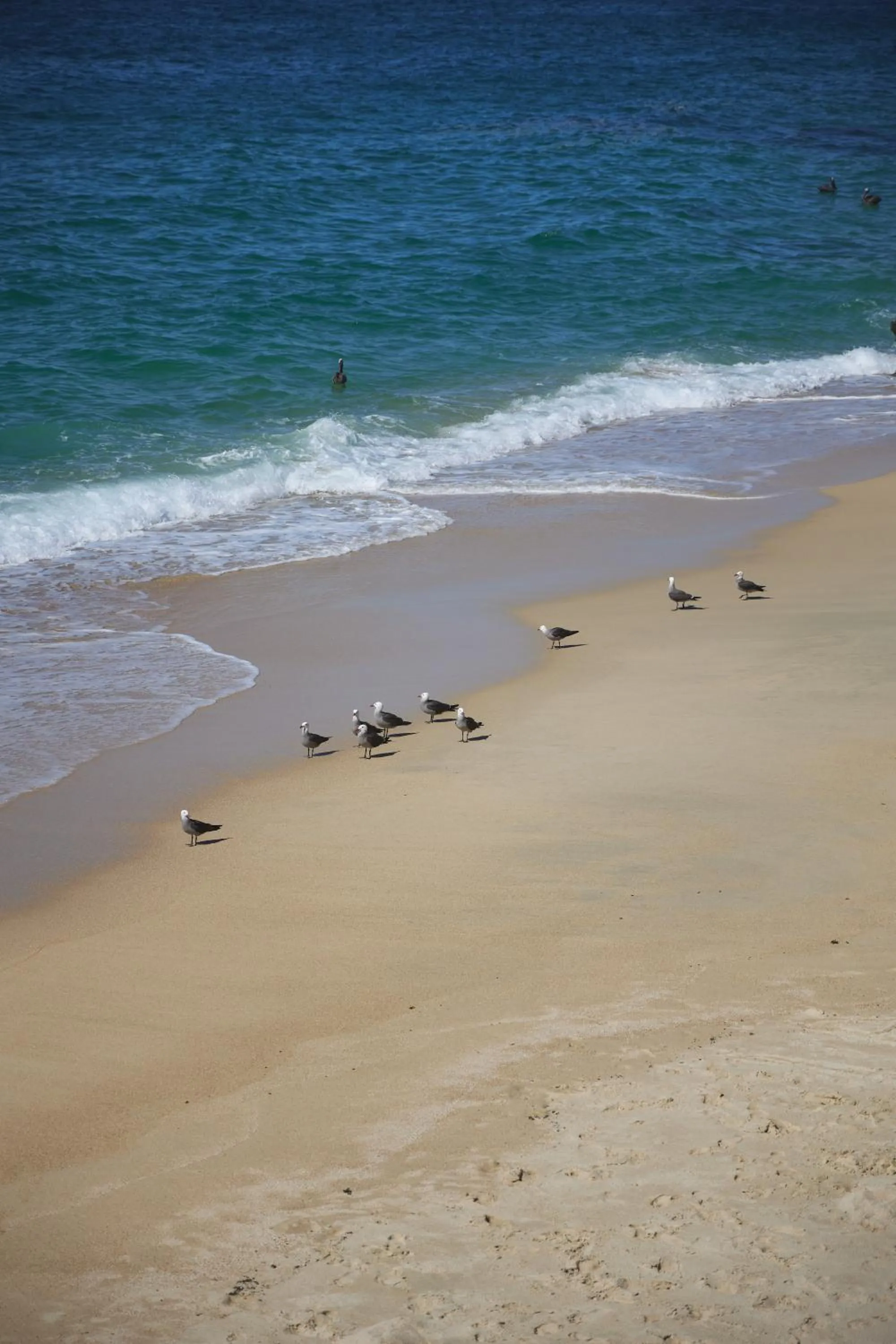 Beach in CASITAS MARAIKA HOTEL & BEACH CLUB, Puerto Vallarta