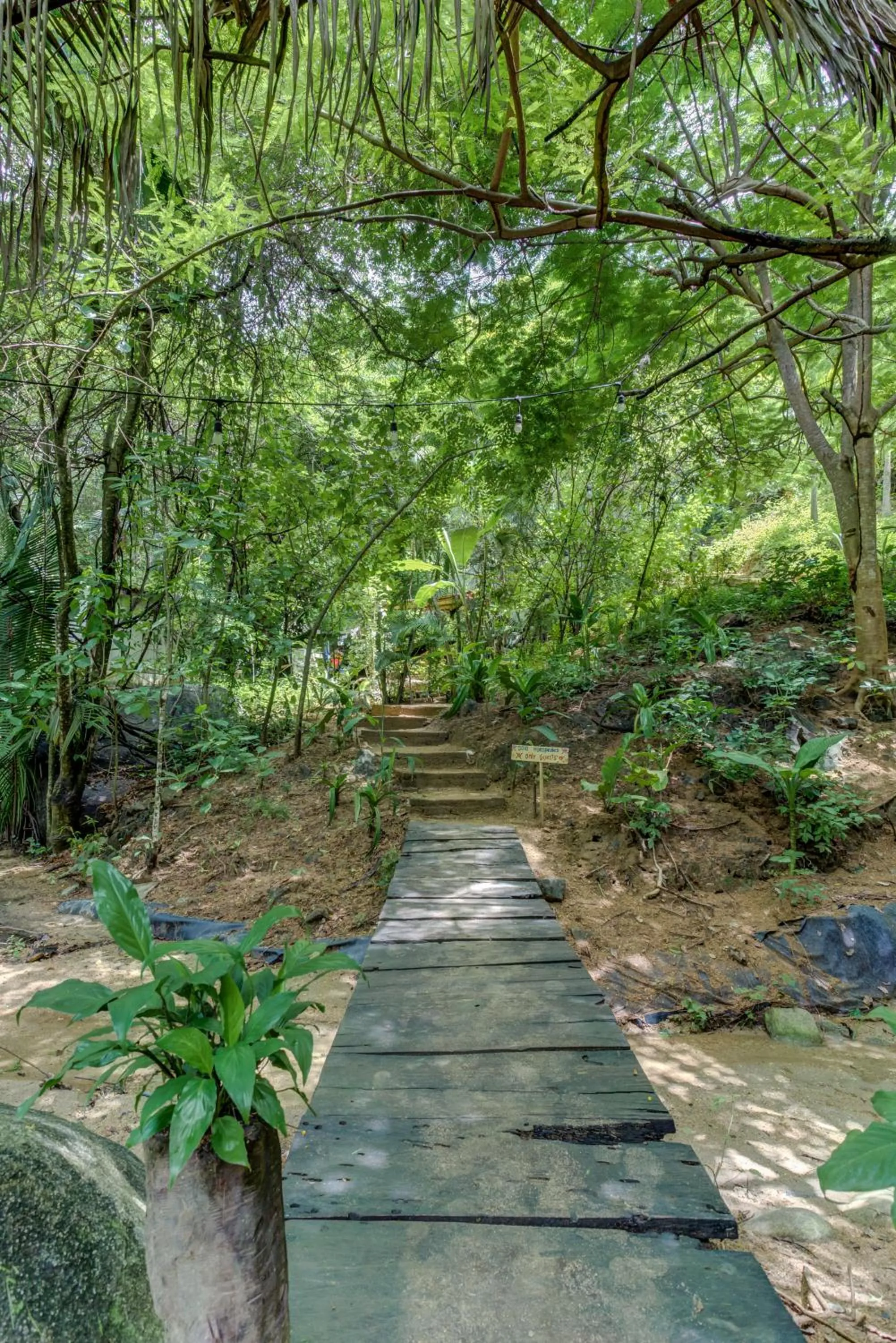 Natural landscape in CASITAS MARAIKA HOTEL & BEACH CLUB, Puerto Vallarta