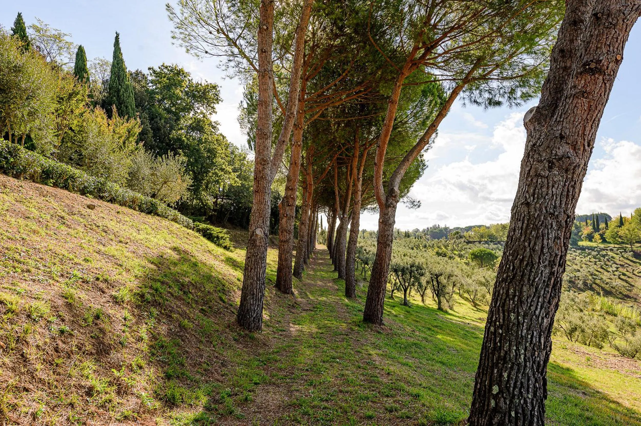 Villa Delia Hotel and Cooking School