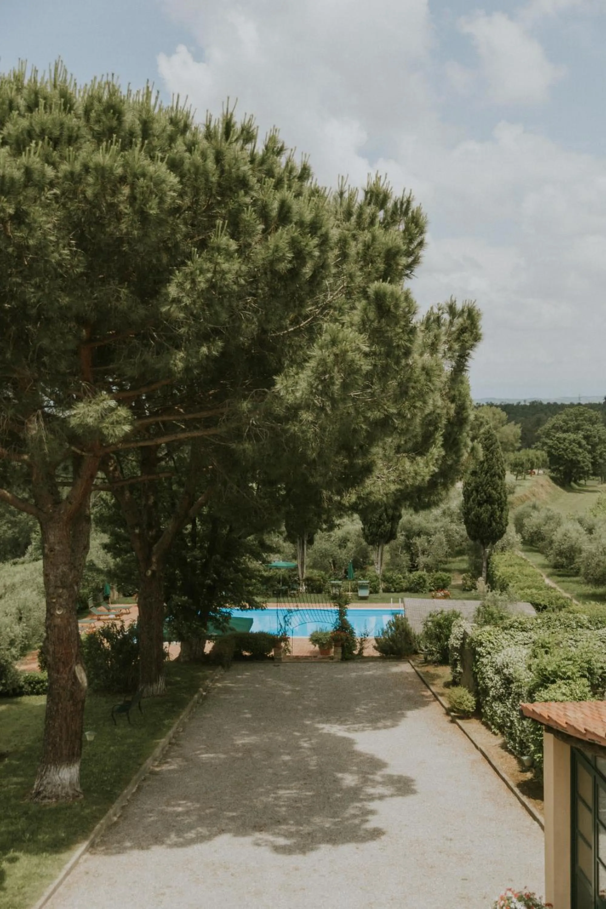 Garden view in Villa Delia Hotel and Cooking School