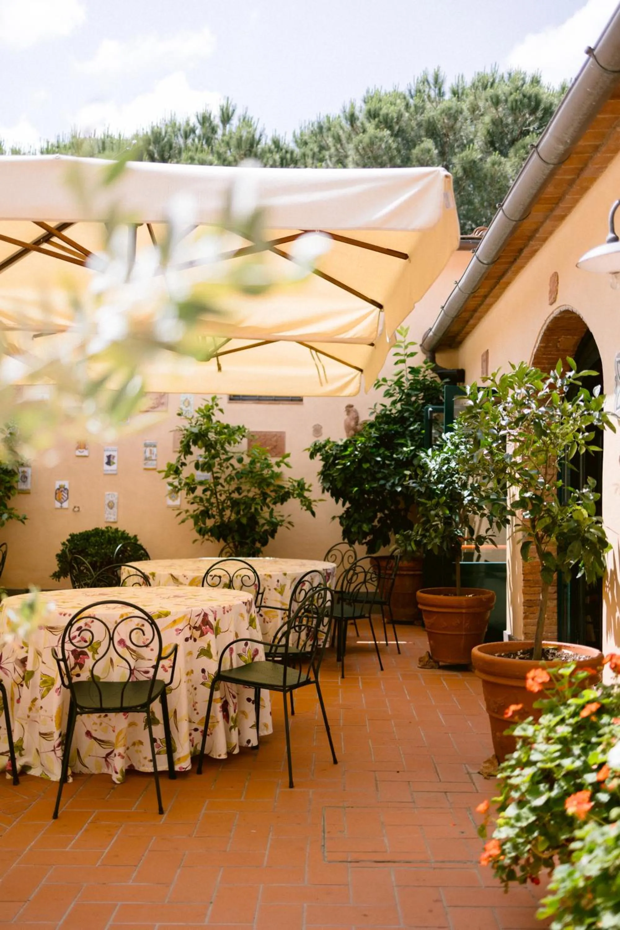 Villa Delia Hotel and Cooking School