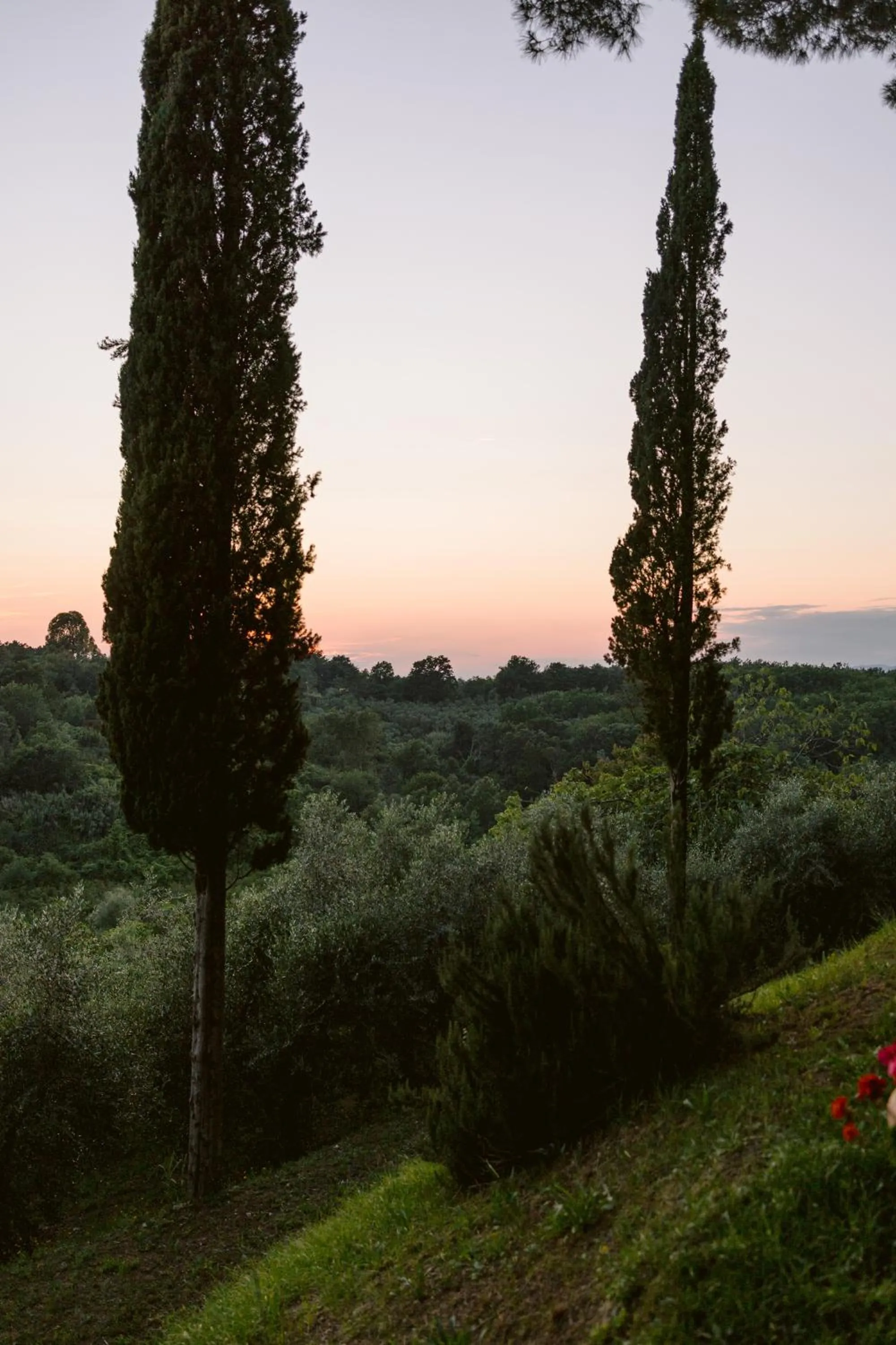 Villa Delia Hotel and Cooking School