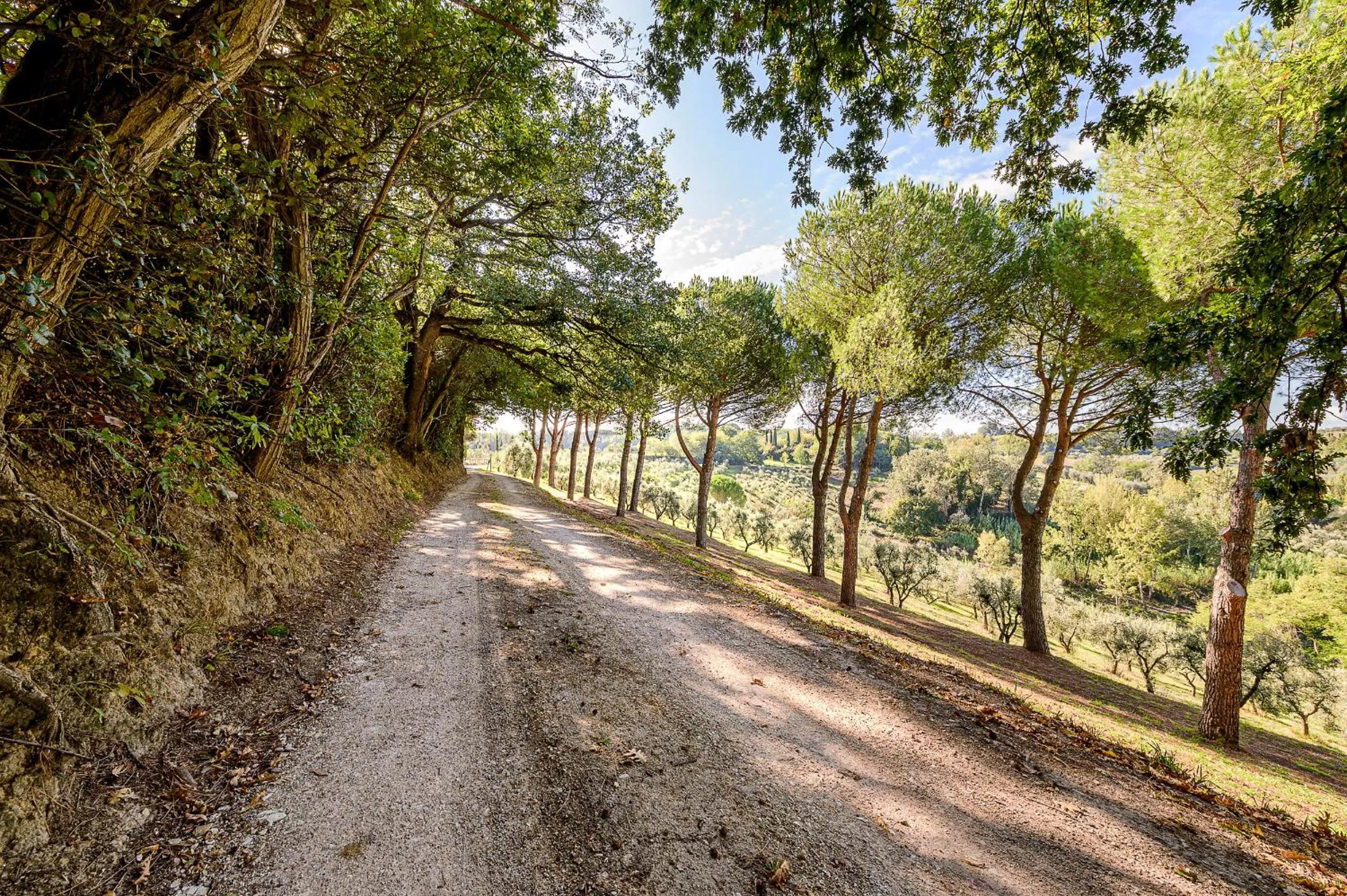 Villa Delia Hotel and Cooking School