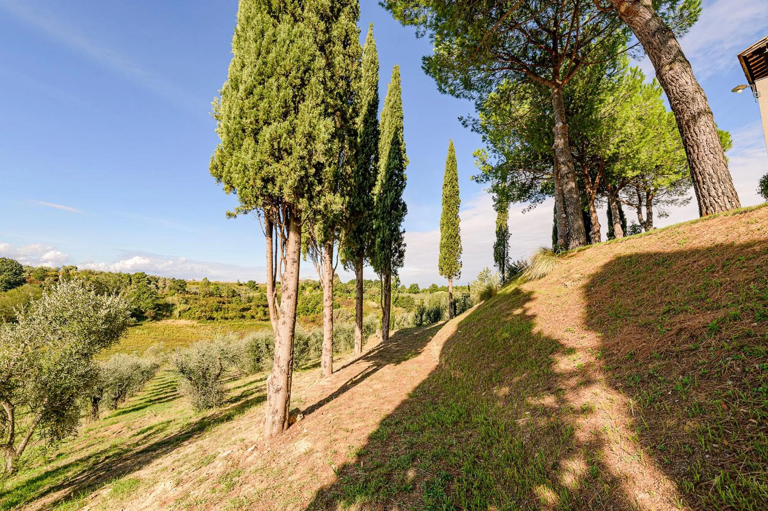 Villa Delia Hotel and Cooking School