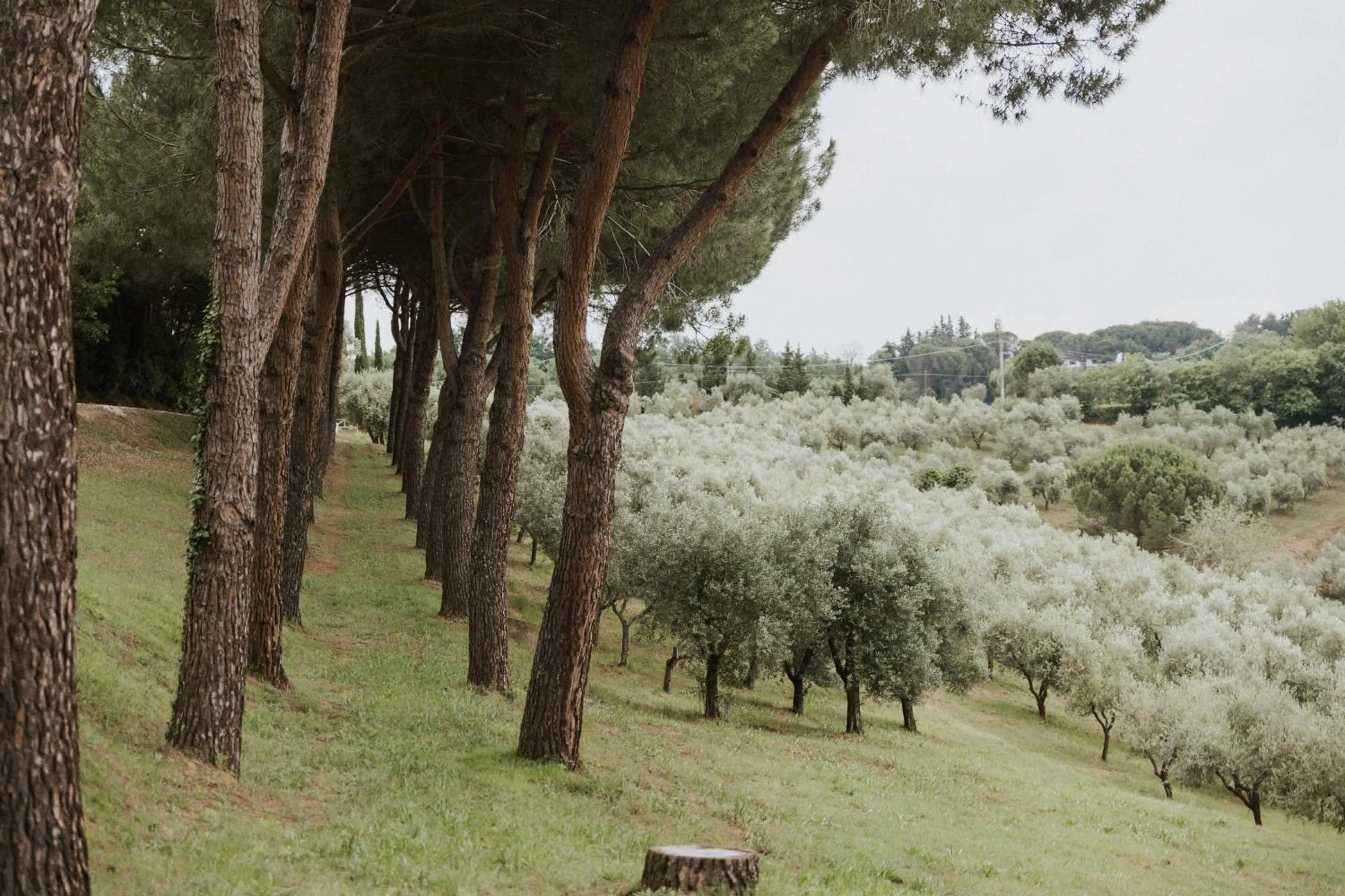 Villa Delia Hotel and Cooking School