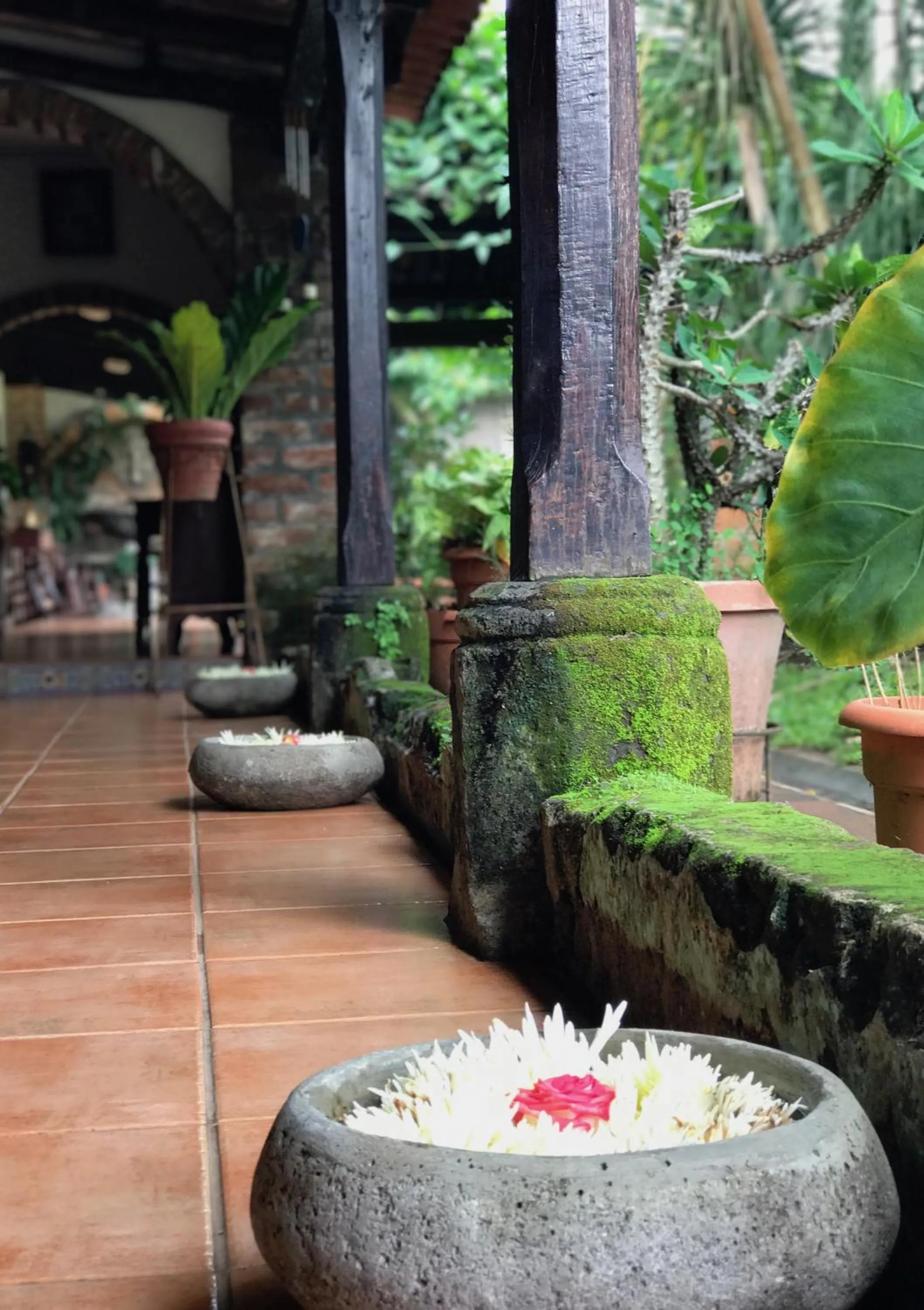 Casa Degraciela - Hotel Boutique