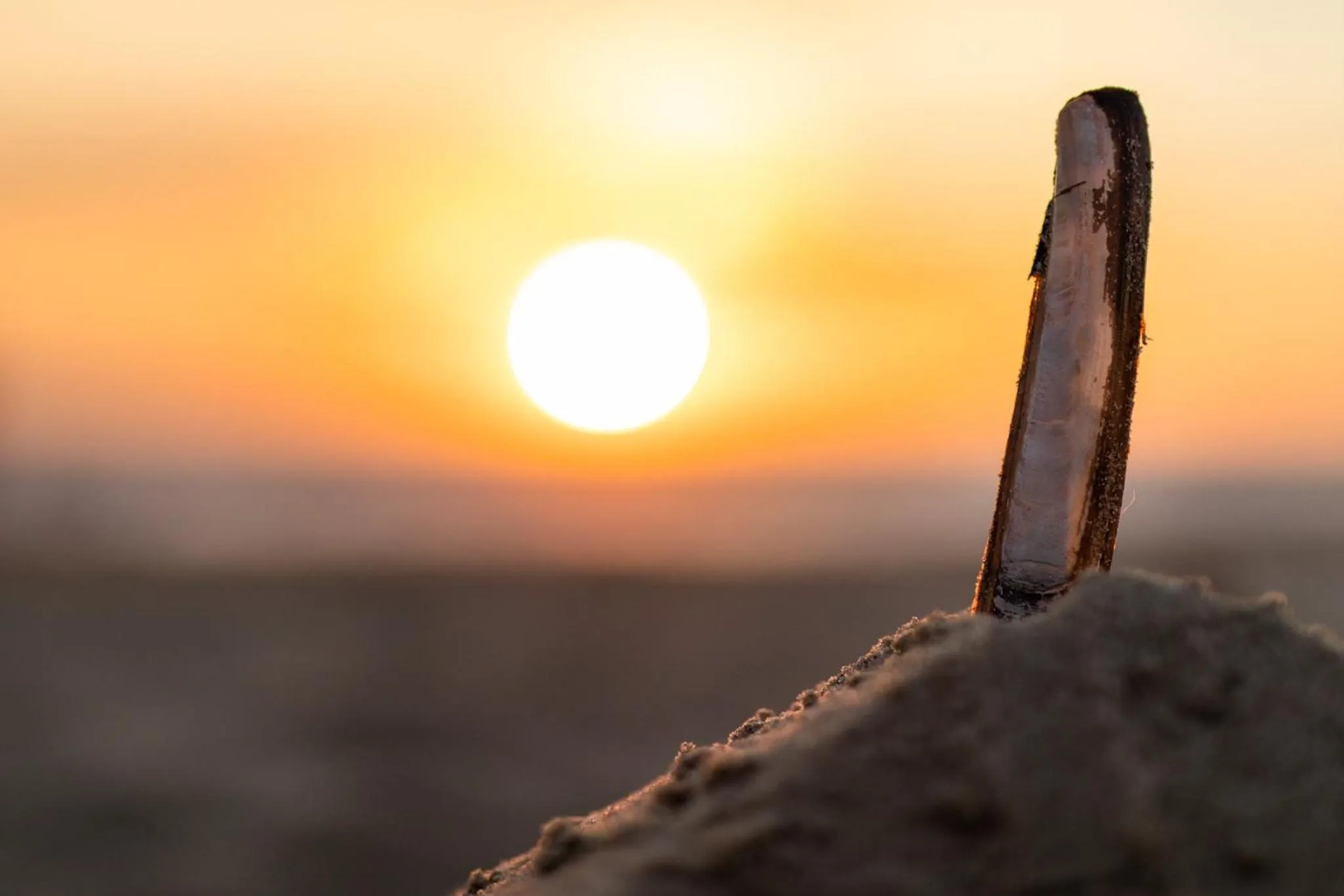 Beach in Grand Hotel Beatrix