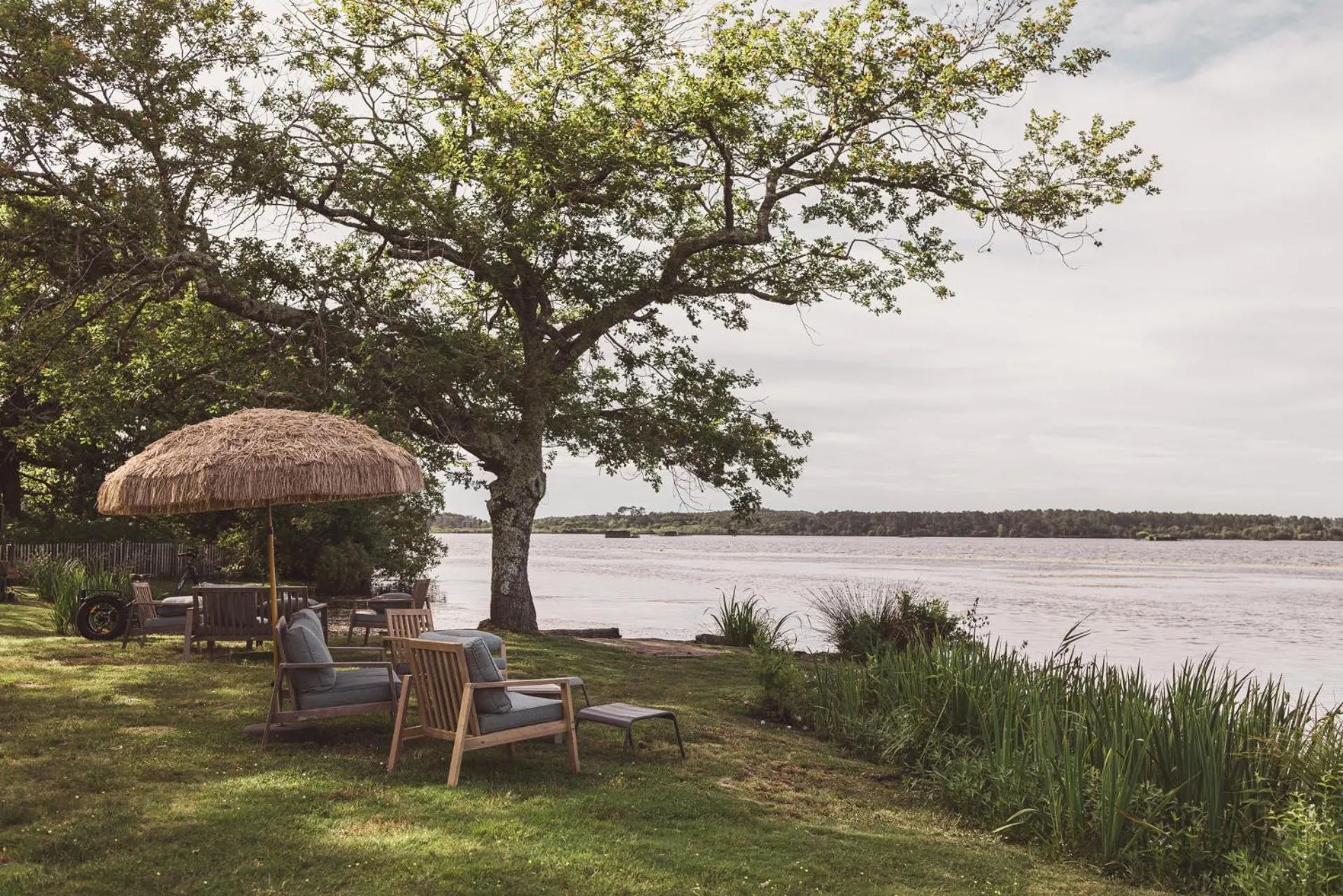 Lounge or bar in Villa de l'Etang Blanc