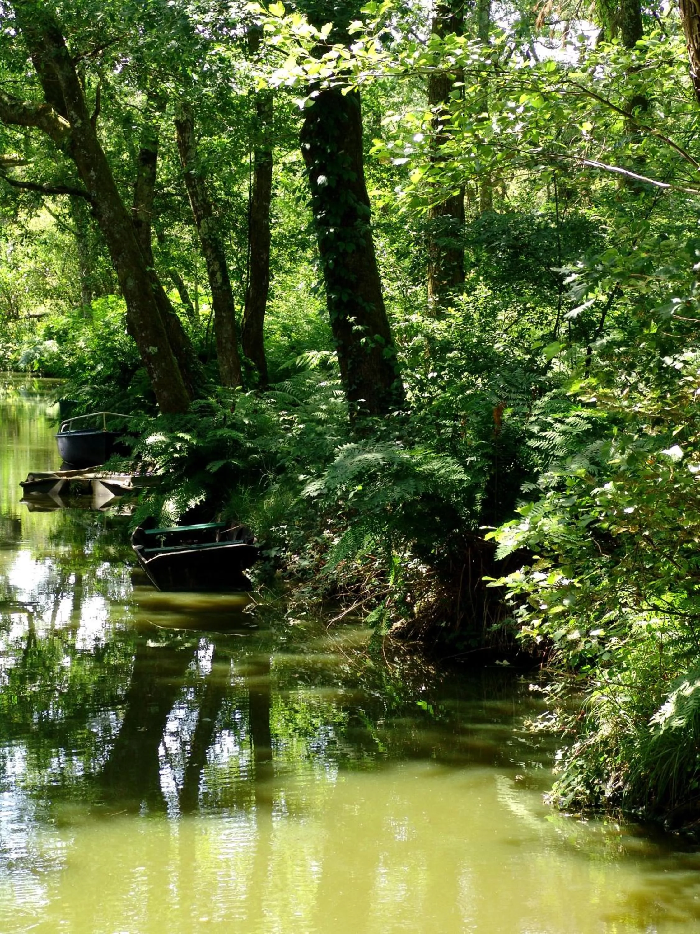 Nearby landmark in Villa de l'Etang Blanc