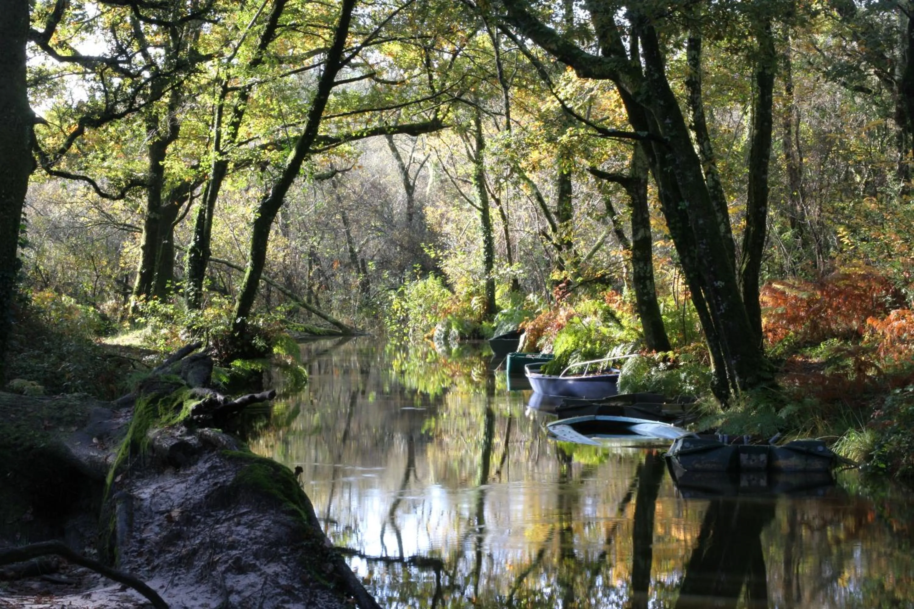 River view in Villa de l'Etang Blanc