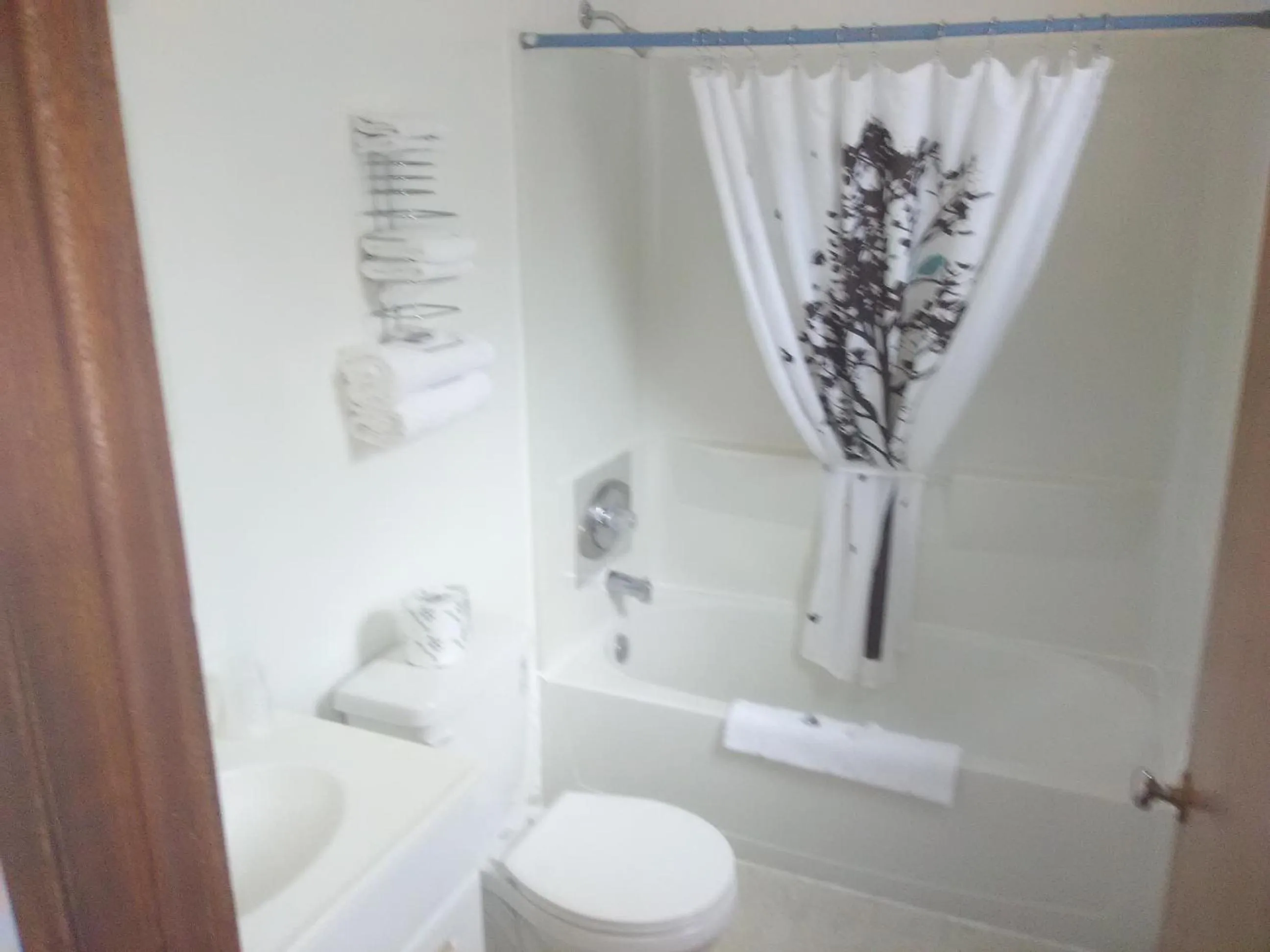 Other in Trail Motel