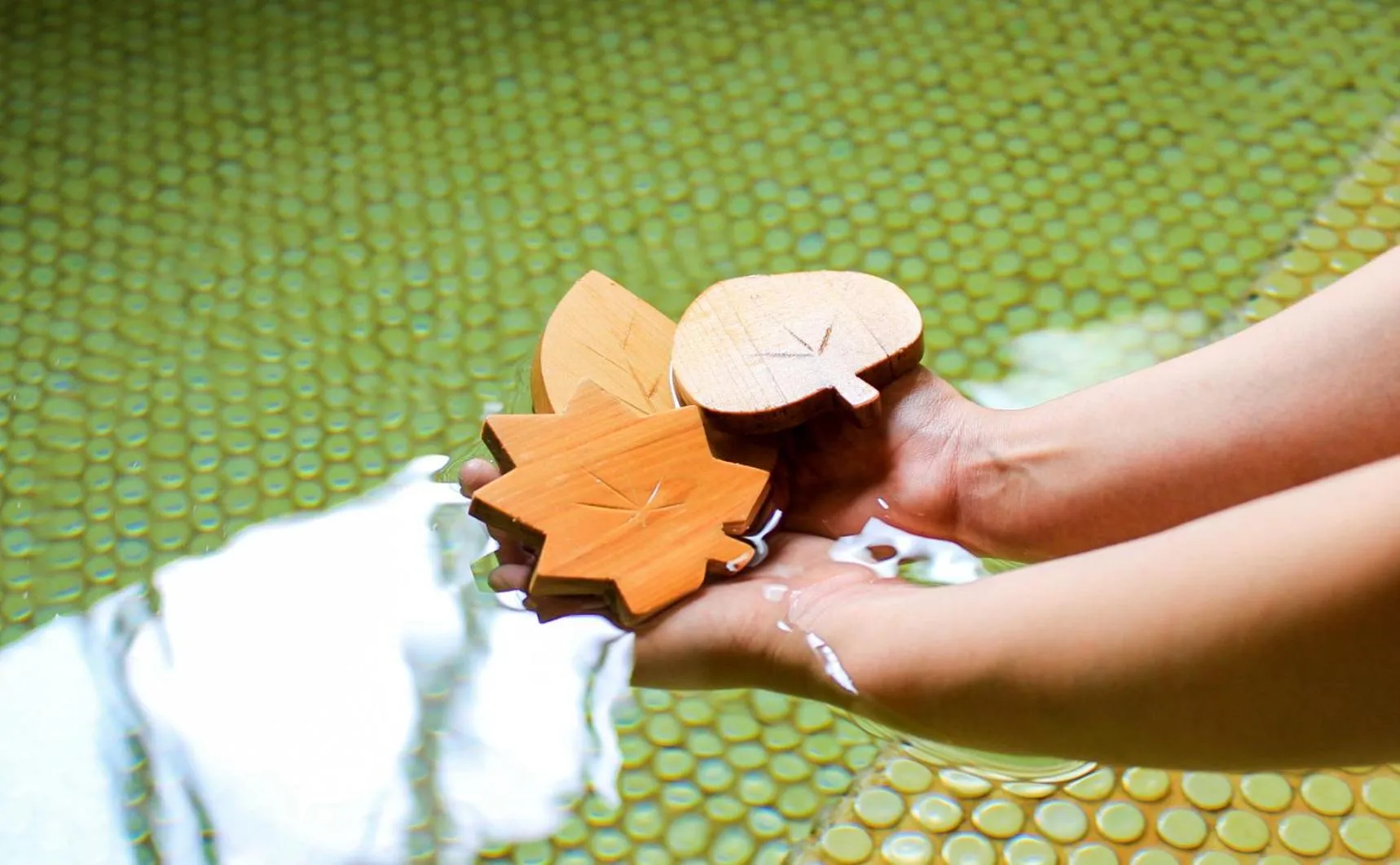 Area and facilities in Towadako Lakeside Hotel
