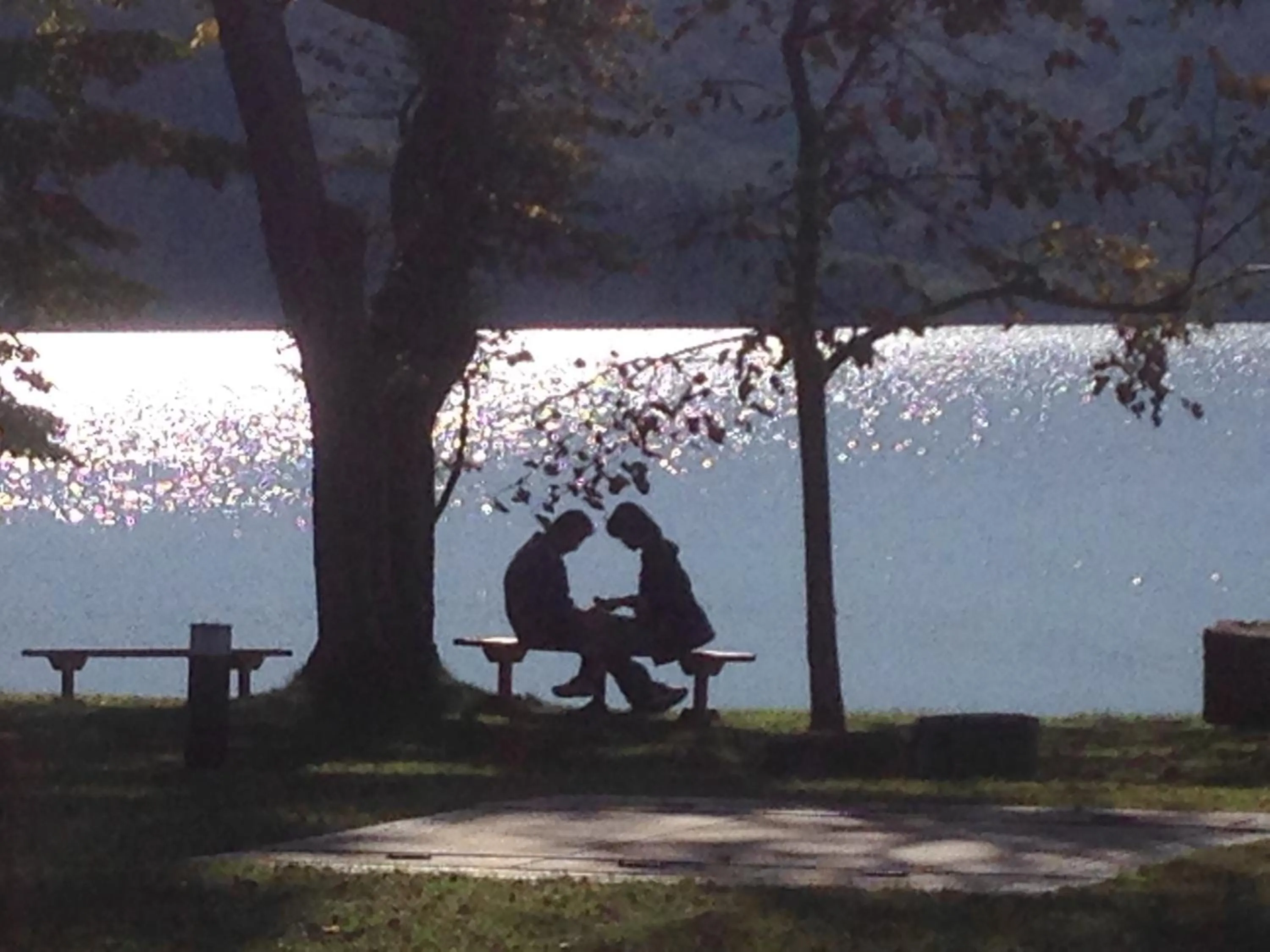 Neighbourhood in Towadako Lakeside Hotel