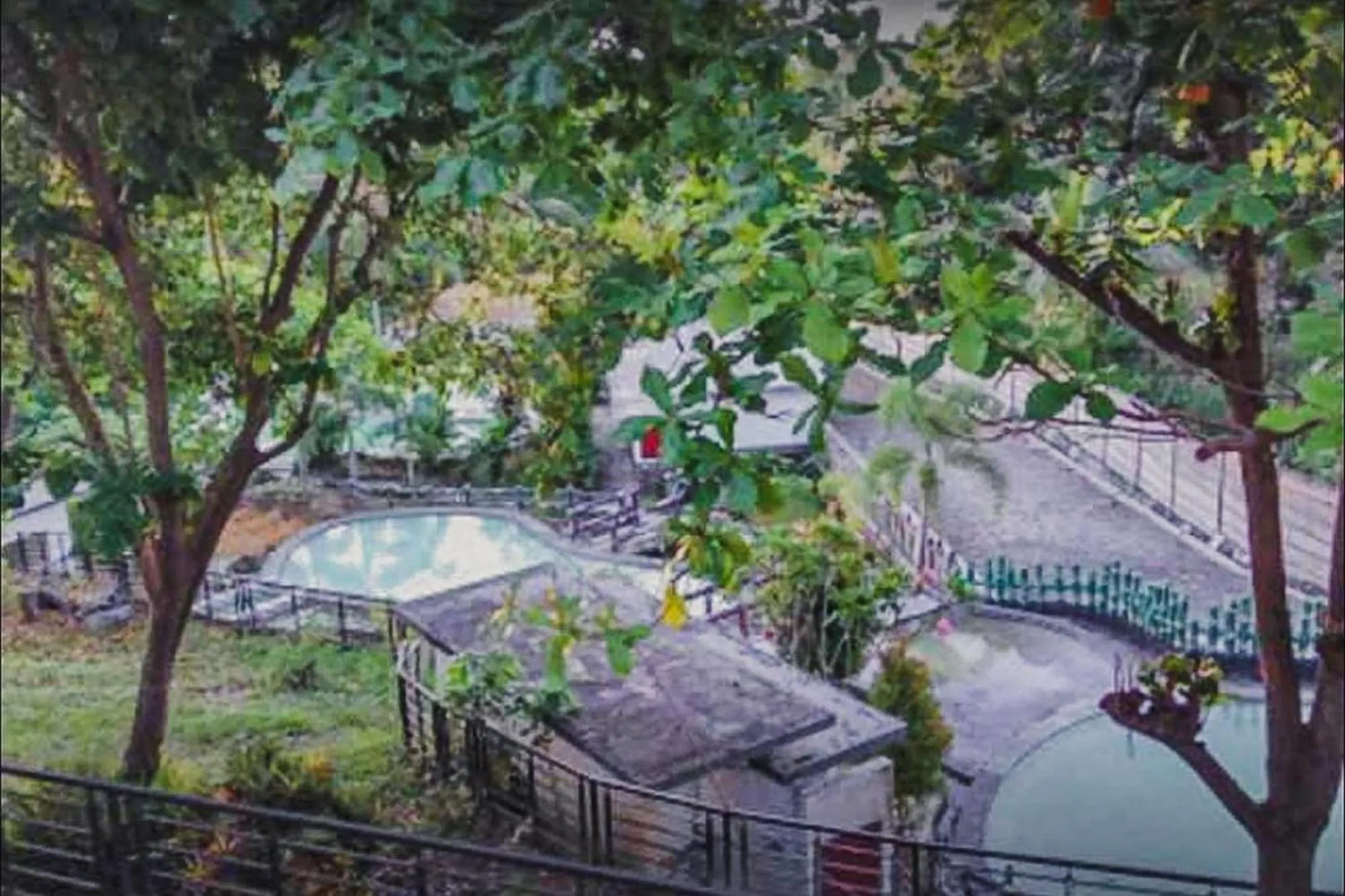 Garden view in Wisma Belerang Kalianda Lampung RedPartner