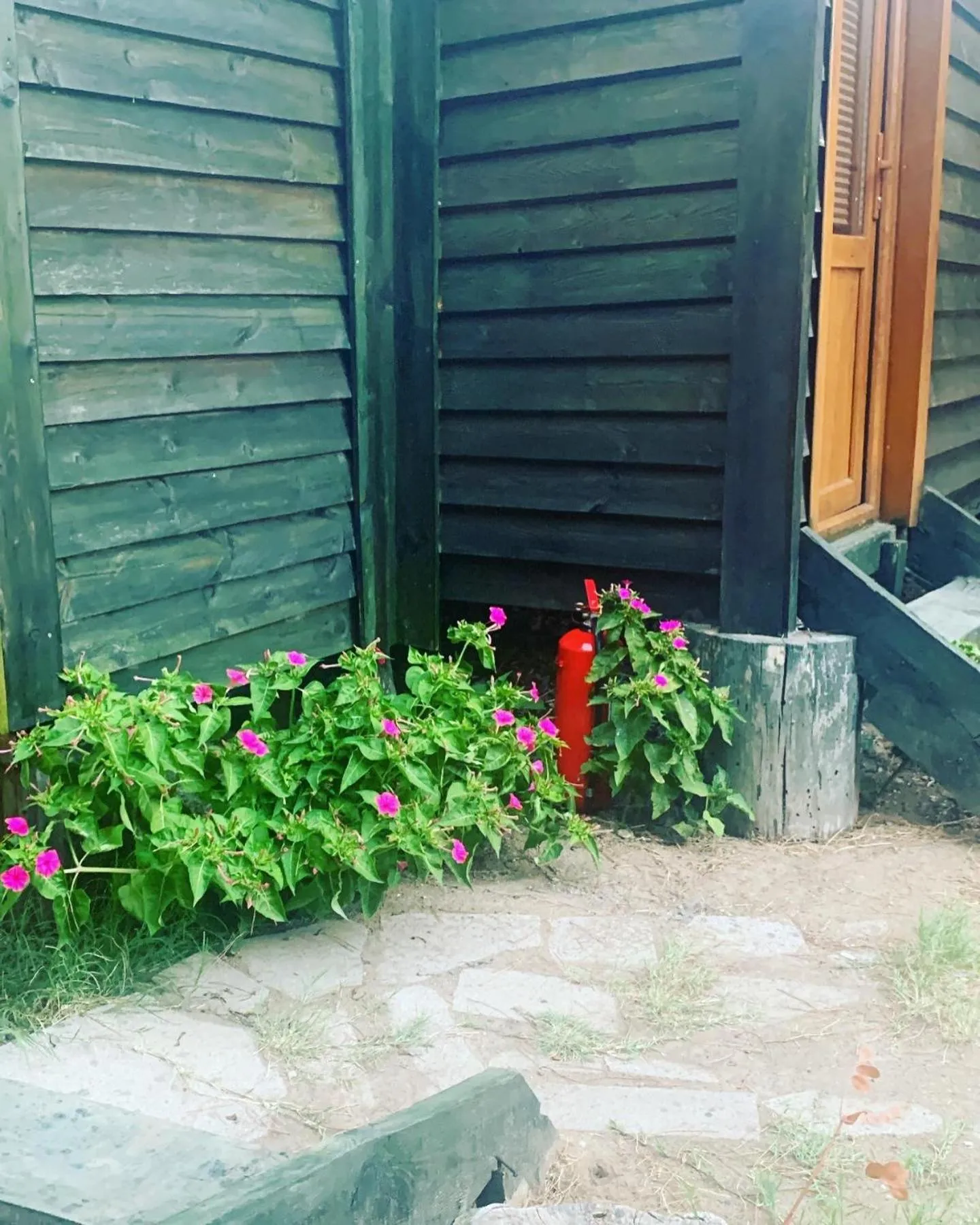 Pina bungalov restaurant