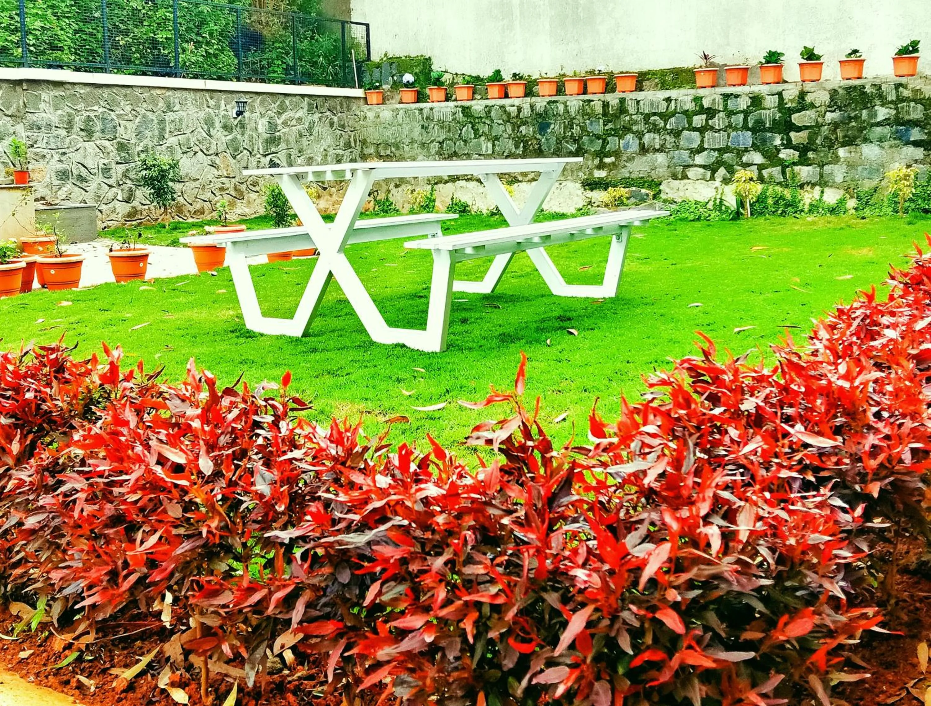 Garden in Hotel NT Grand Yercaud
