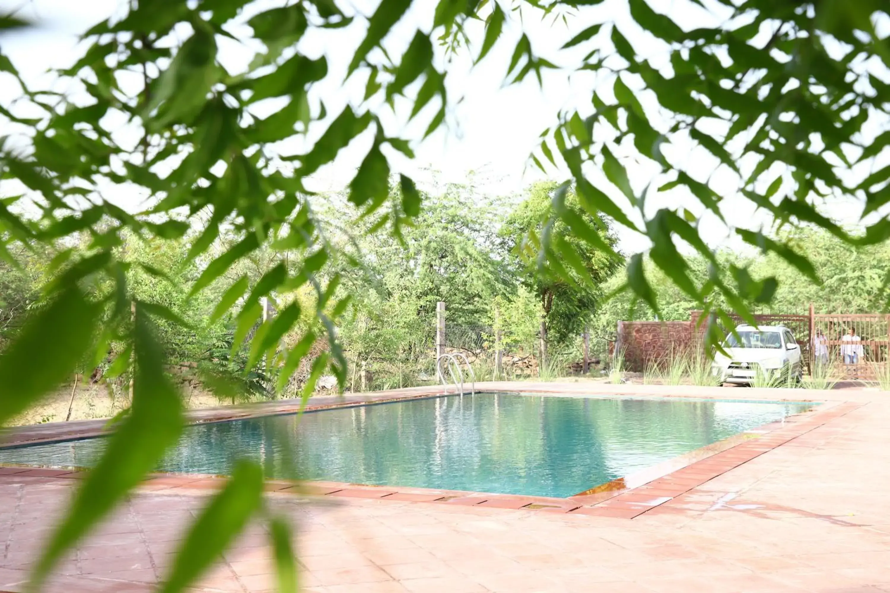 Swimming pool in Impian Resorts - Jodhpur Swimming pool in Impian Resorts - Jodhpur