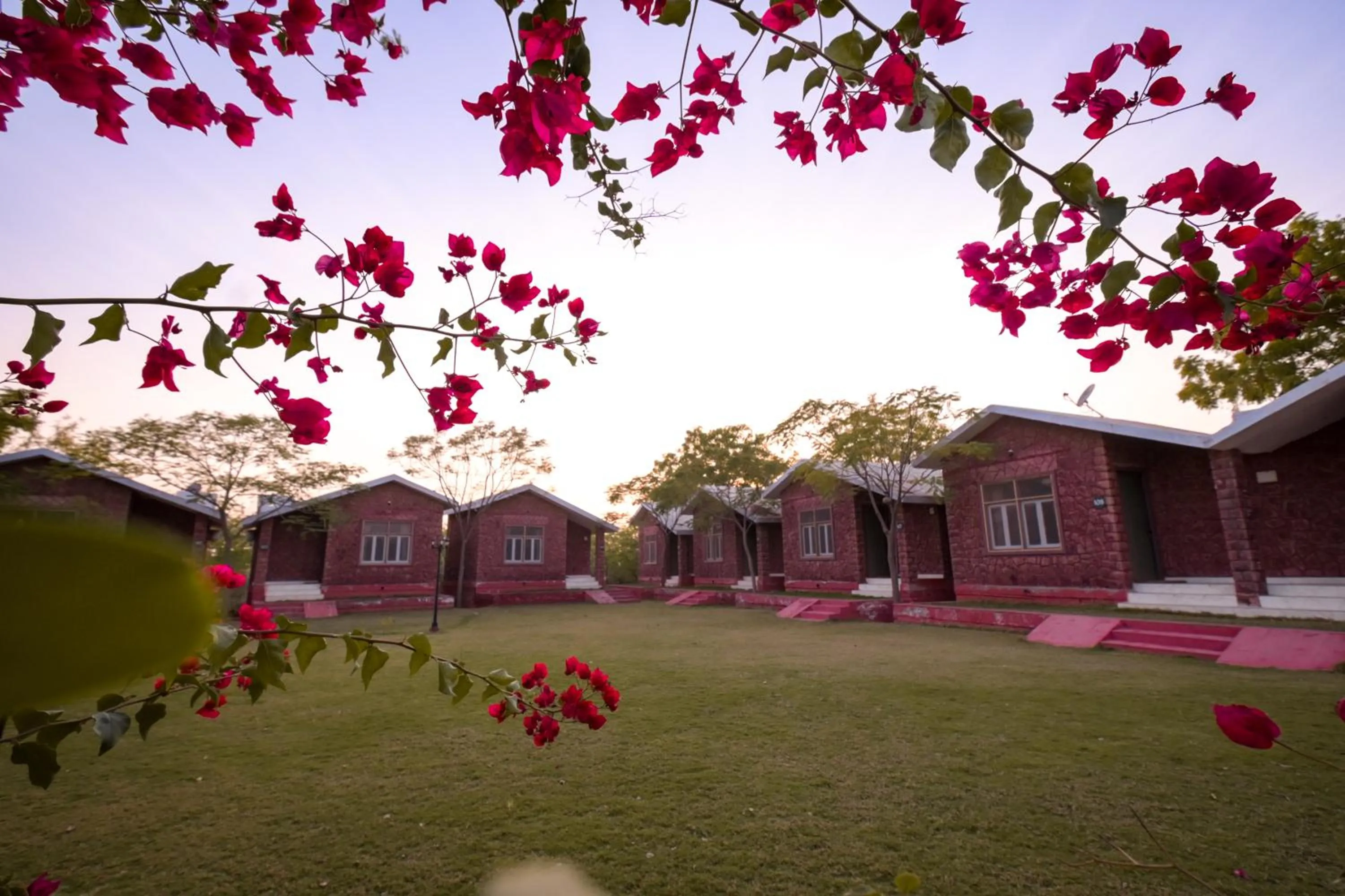 Garden view in Impian Resorts - Jodhpur
