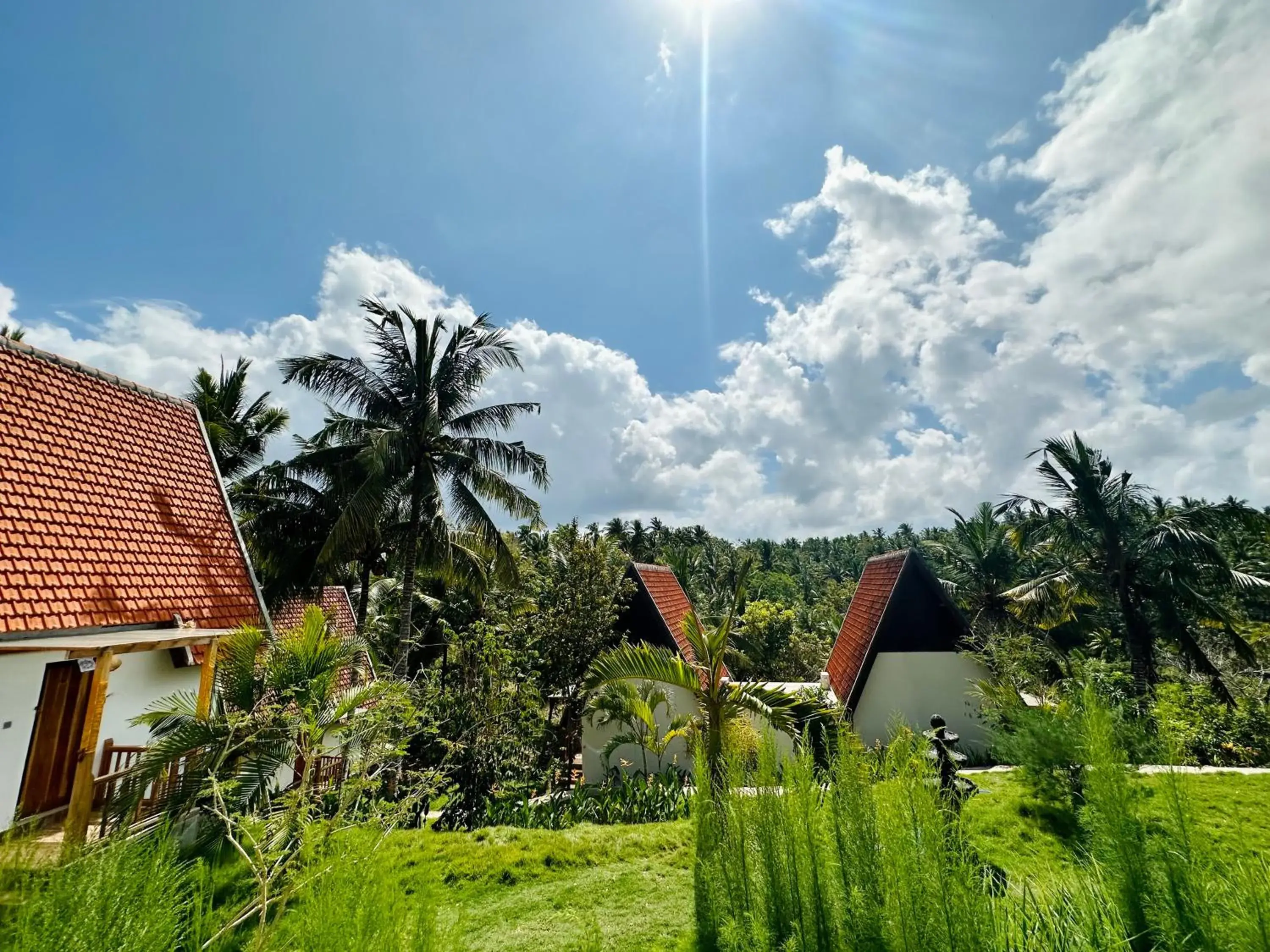 Property building in Green Coco Suite by AGATA Property building in Green Coco Suite by AGATA