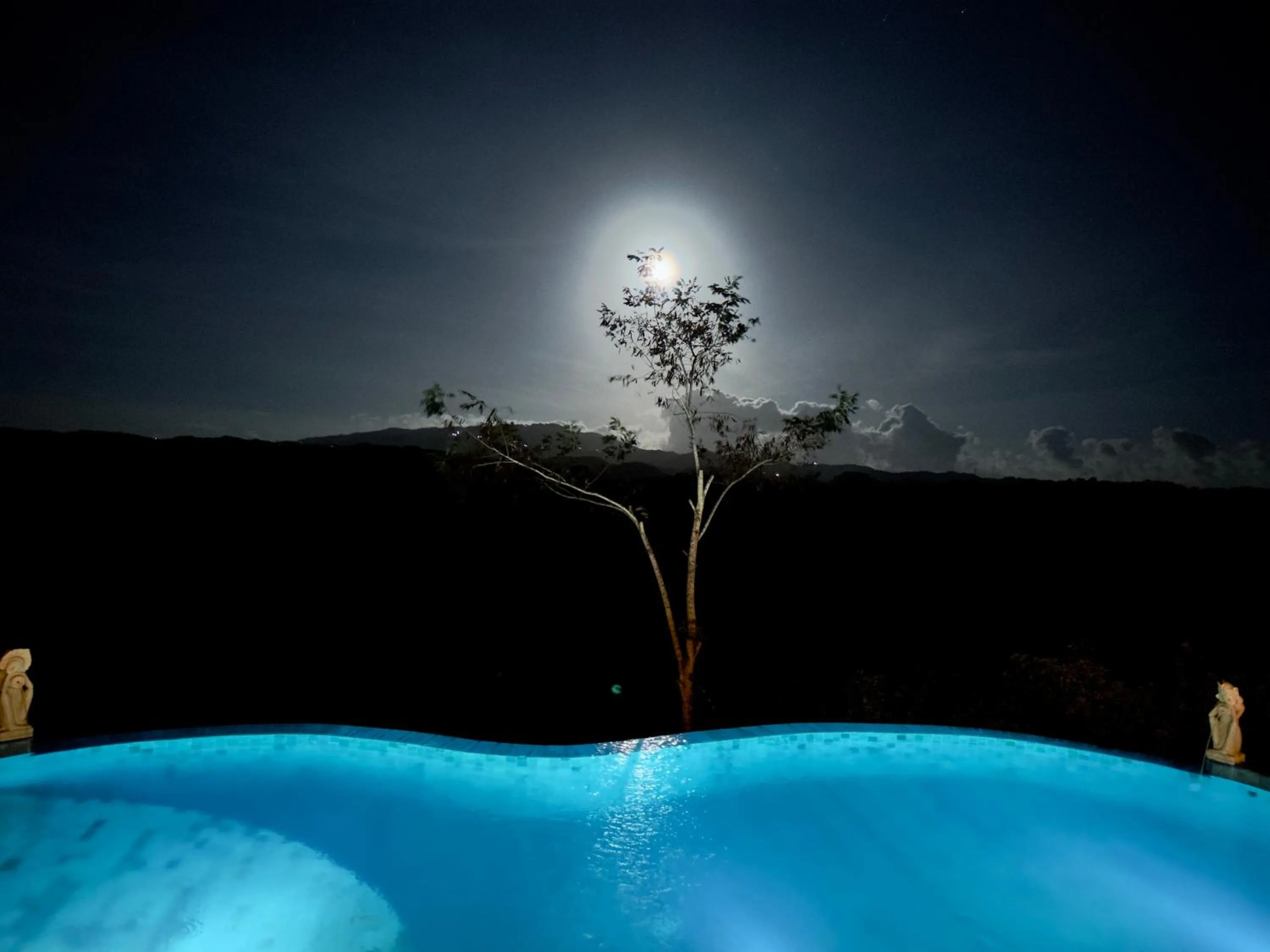 Night in Green Coco Suite