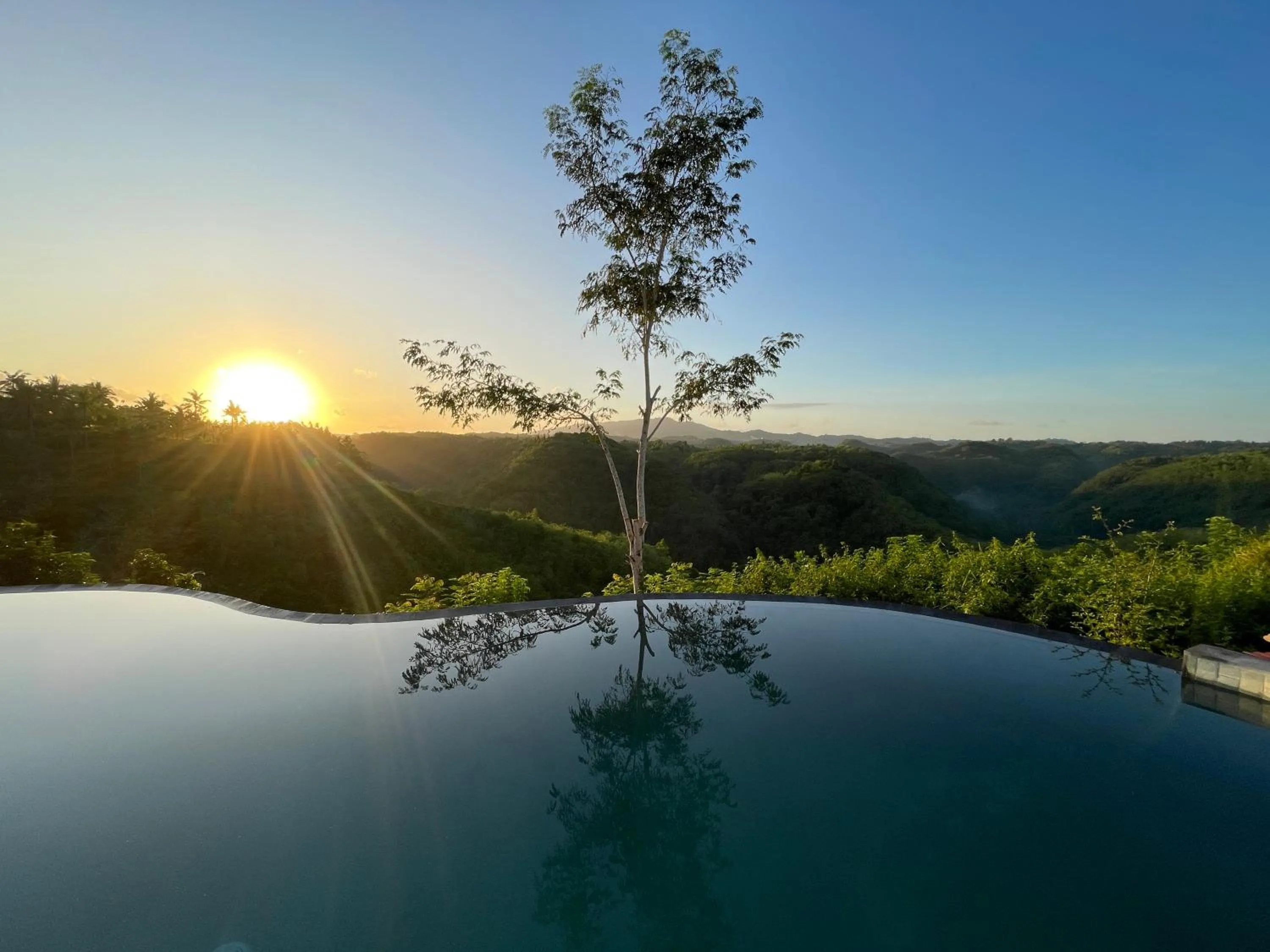 Natural landscape in Green Coco Suite