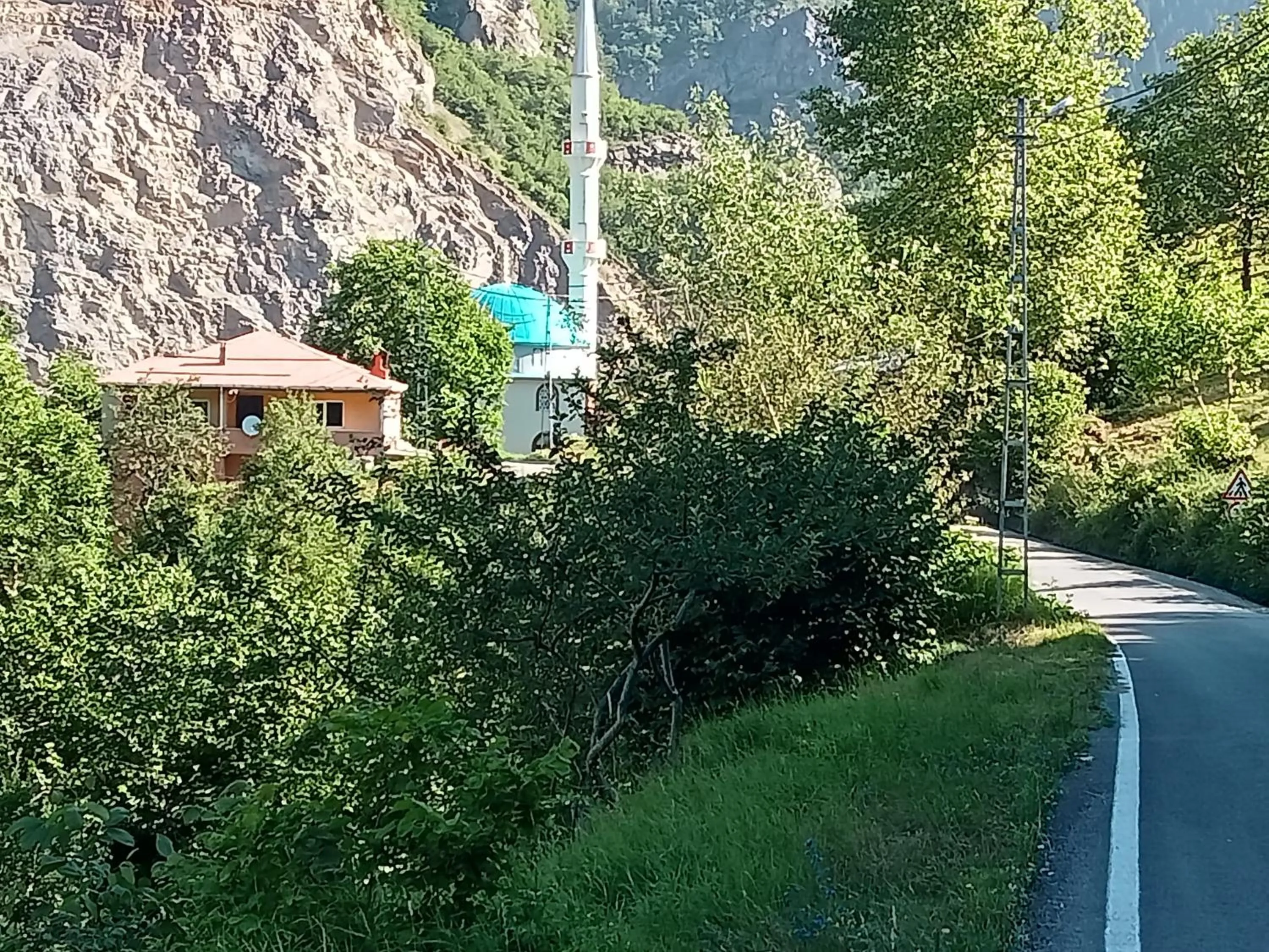 Hamsiköy green garden