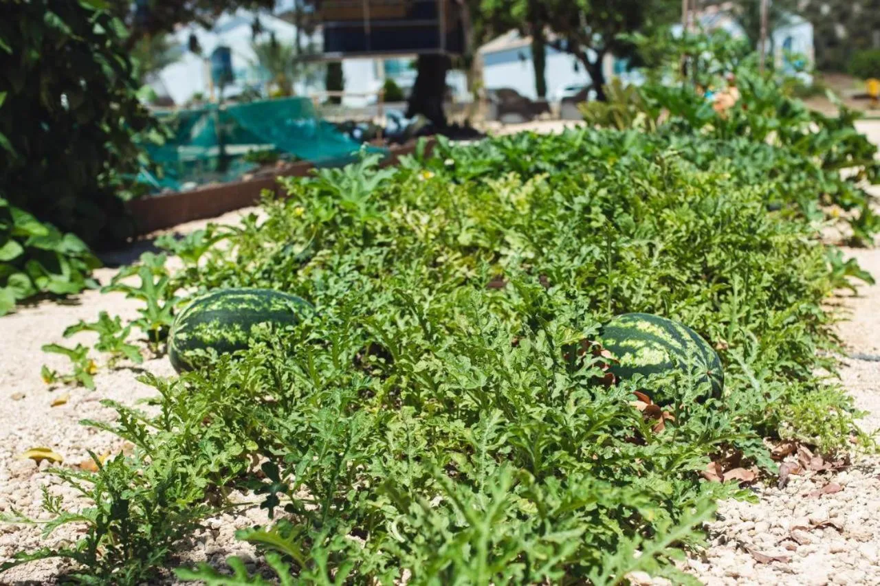 Latchi Escape Hotel and Suites